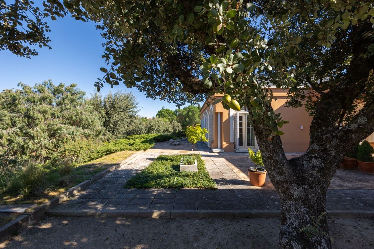 Casas o chalets-Venta-Las Rozas de Madrid-1002883-Foto-47