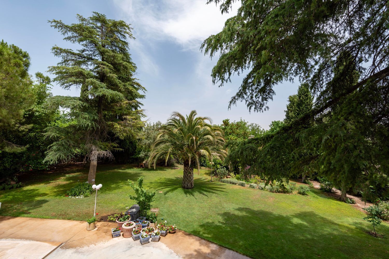 Casas o chalets-Venta-Ciudad Real-1752315-Foto-4