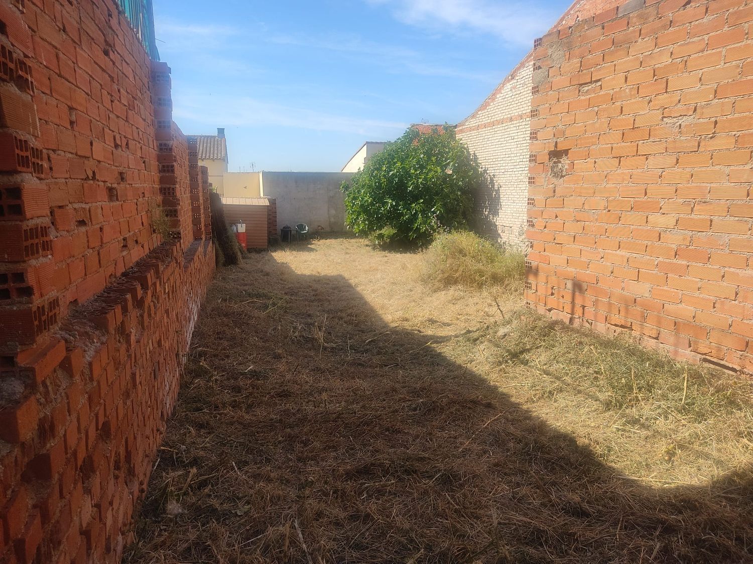 Fincas y solares-Venta-Morata de TajuÃ±a-1745665-Foto-4