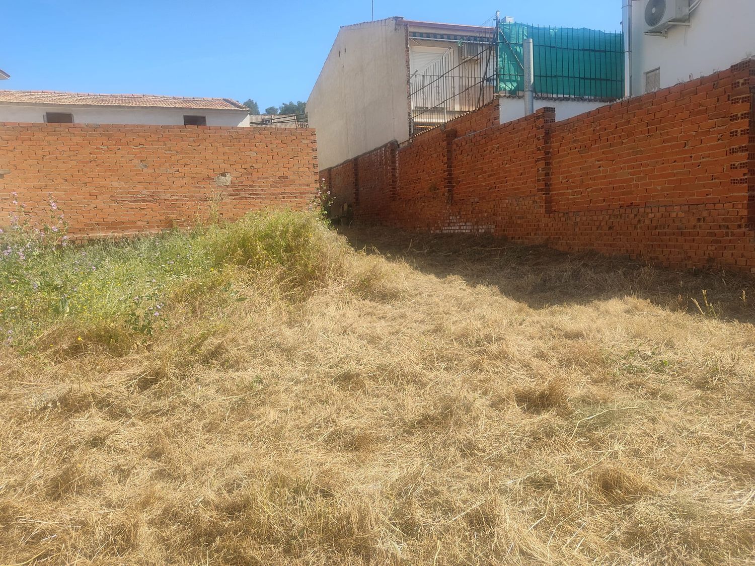 Fincas y solares-Venta-Morata de TajuÃ±a-1745665-Foto-8