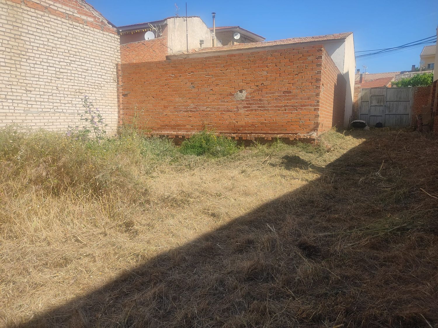 Fincas y solares-Venta-Morata de TajuÃ±a-1745665-Foto-12