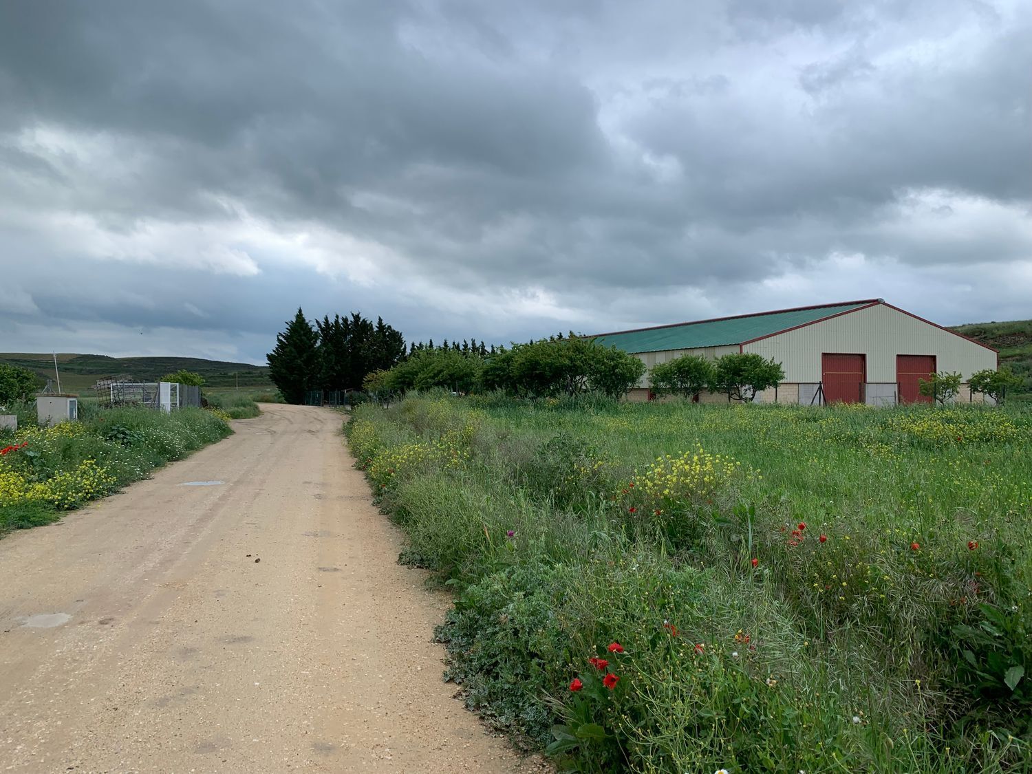Naves-Venta-Cuzcurrita de RÃ­o TirÃ³n-1729038-Foto-11