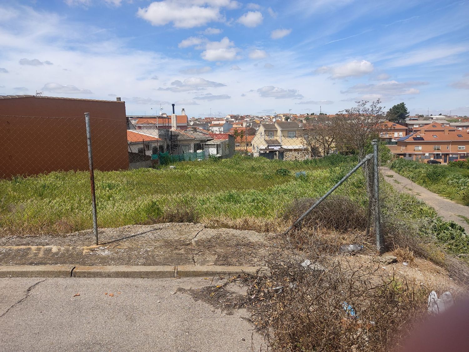 Fincas y solares-Venta-Villarejo de SalvanÃ©s-1724672-Foto-10
