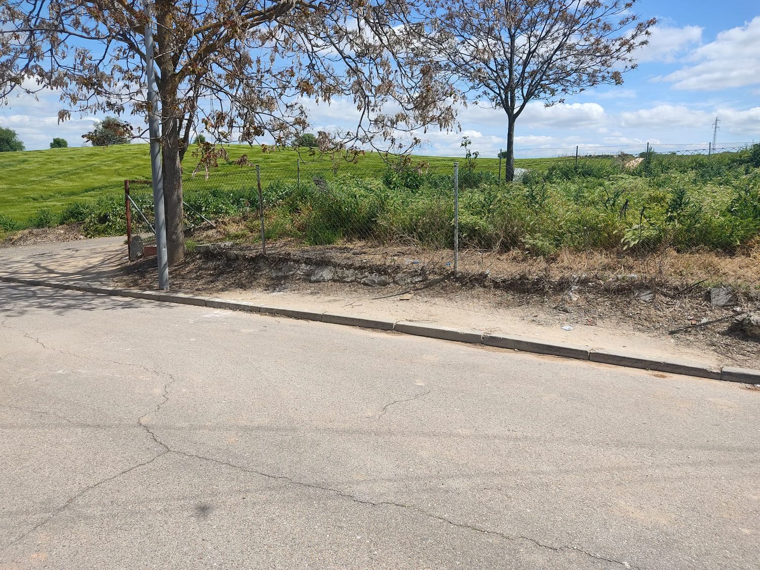 Fincas y solares-Venta-Villarejo de SalvanÃ©s-1724672-Foto-7