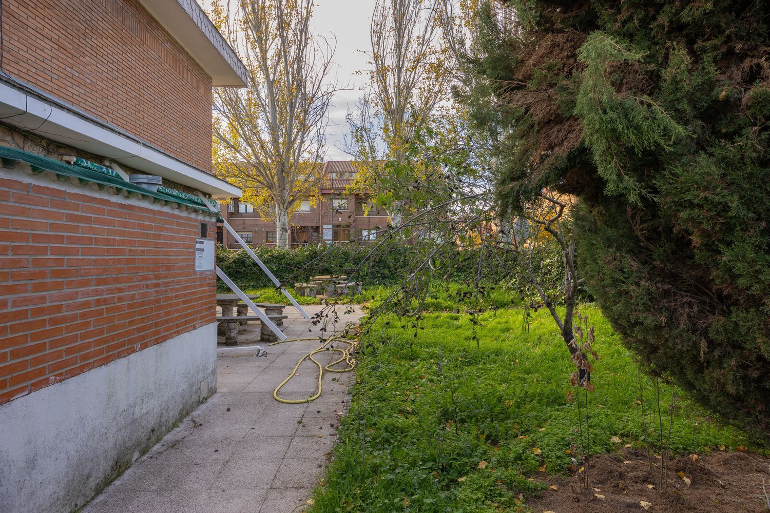 Casas o chalets-Venta-Colmenar Viejo-1521194-Foto-6