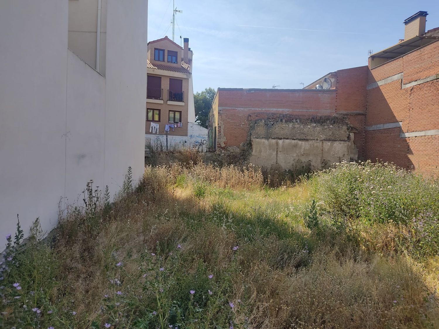 Fincas y solares-Venta-Yeles-1299817-Foto-4