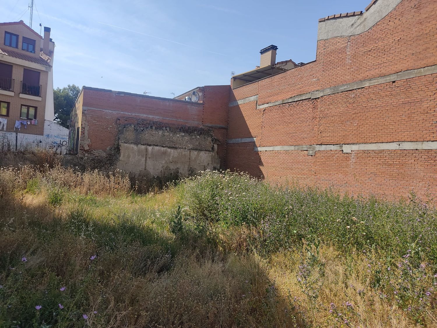 Fincas y solares-Venta-Yeles-1299817-Foto-5