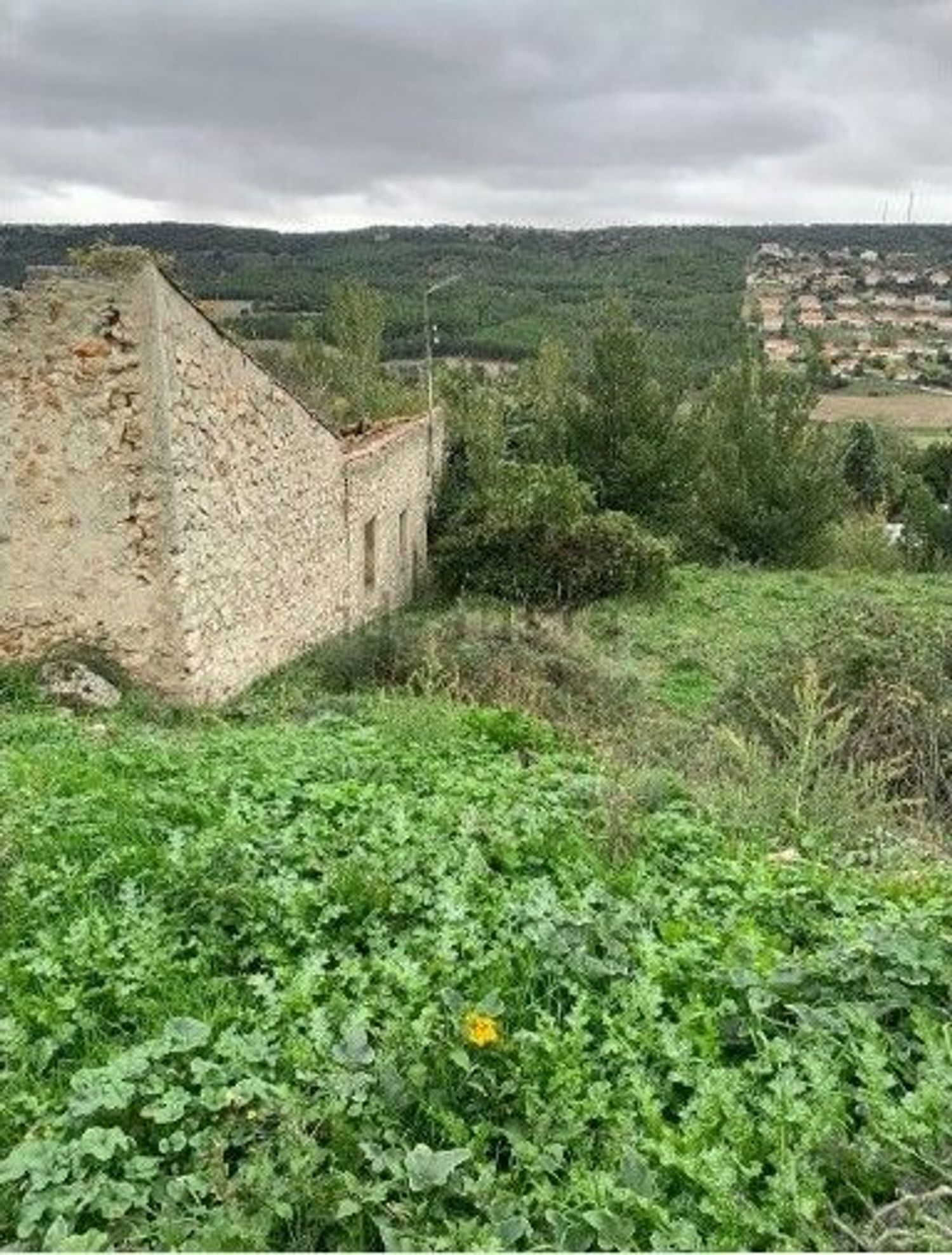 Fincas y solares-Venta-Ambite-1700952-Foto-6