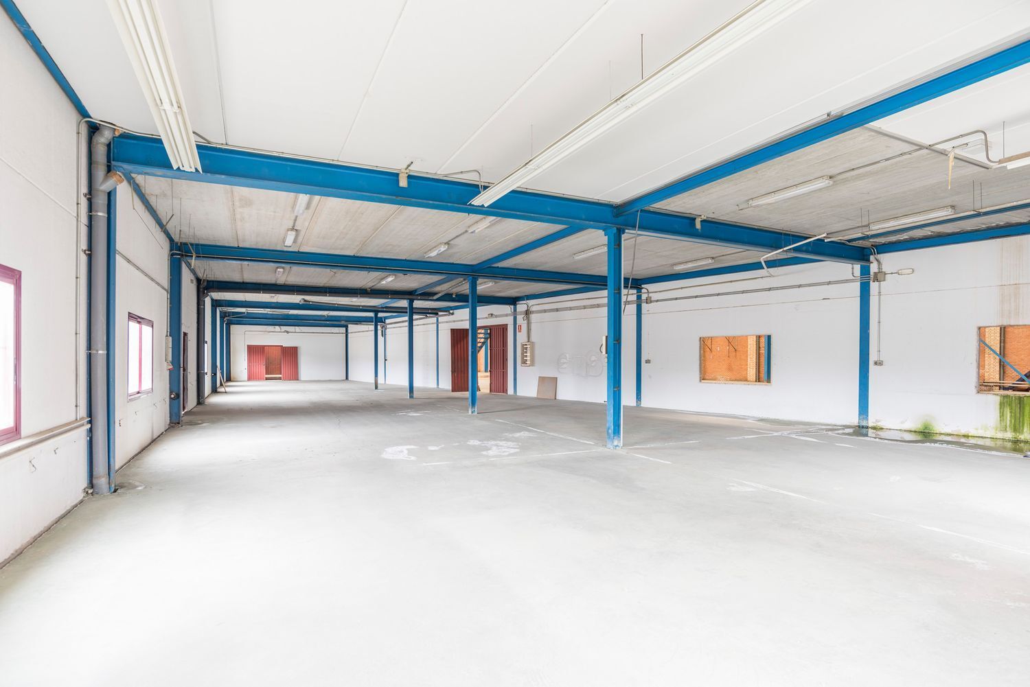 Naves-Venta-OlÃ­as del Rey-1655056-Foto-29