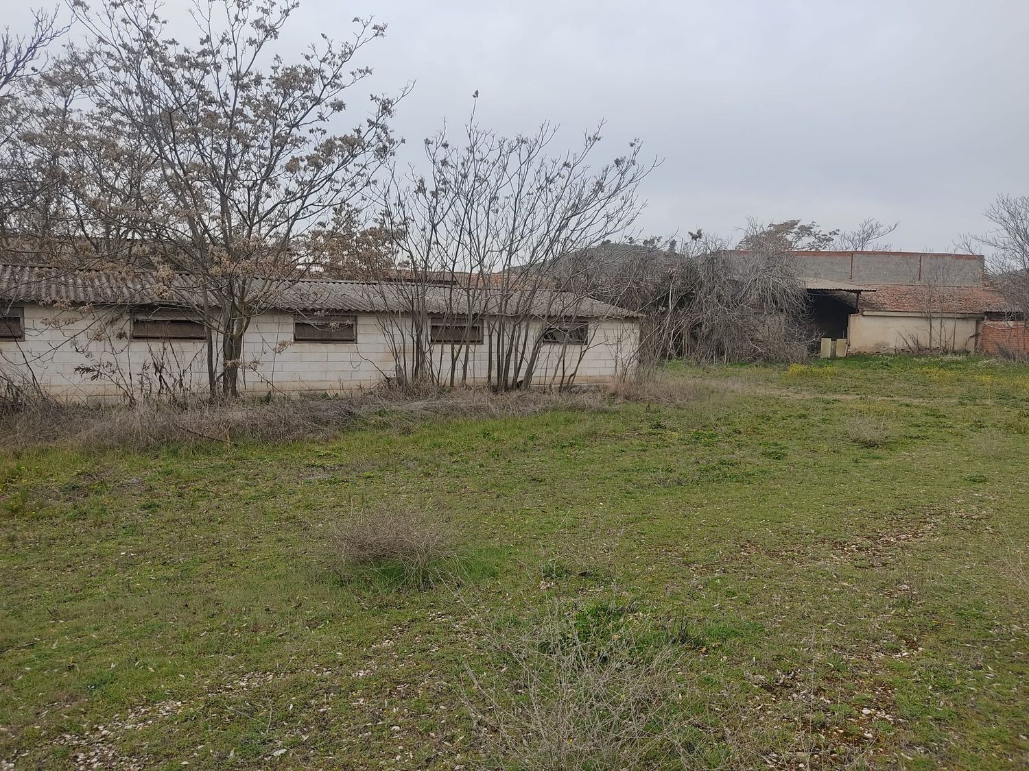 Fincas y solares-Venta-FuentidueÃ±a de Tajo-1653737-Foto-5