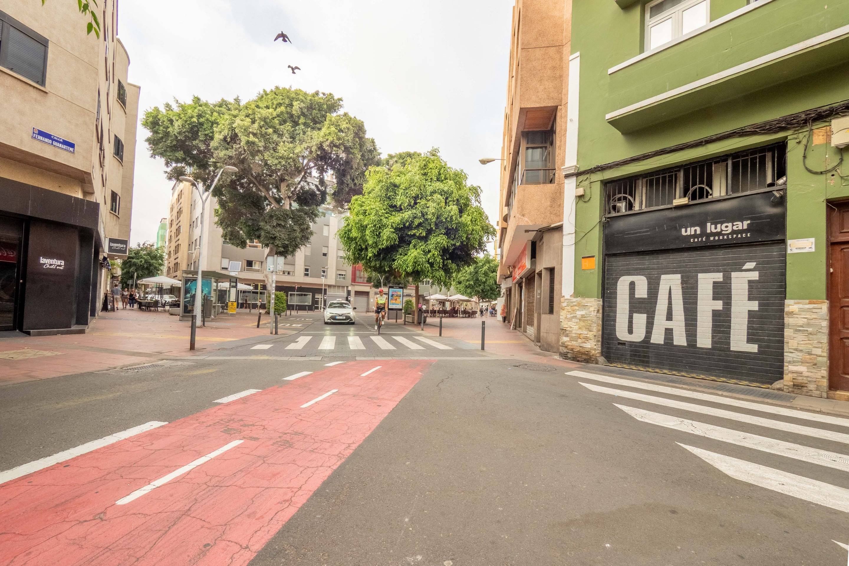 Pisos-Alquiler-Las Palmas de Gran Canaria-1833421-Foto-20