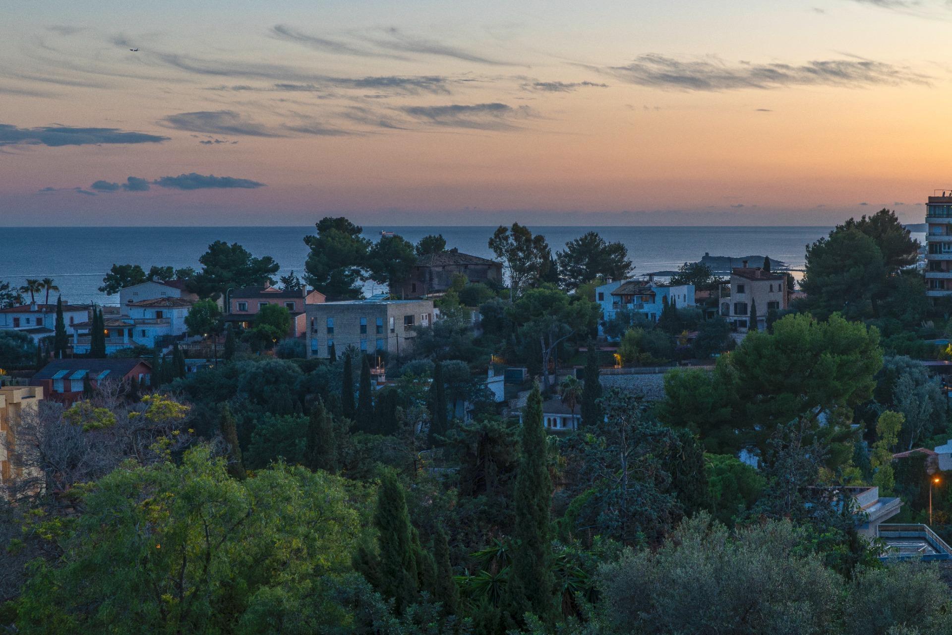 Vistas