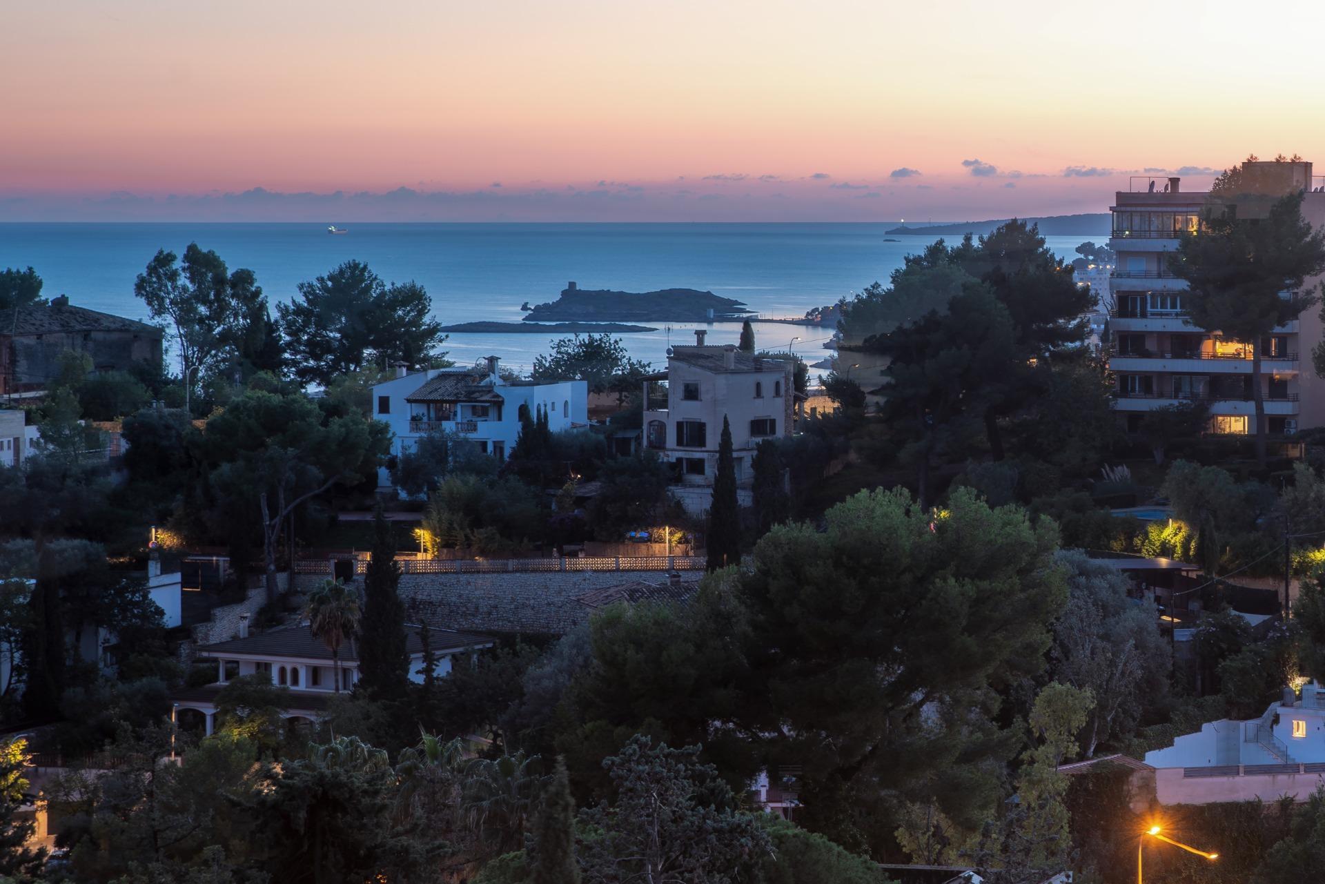 Vistas