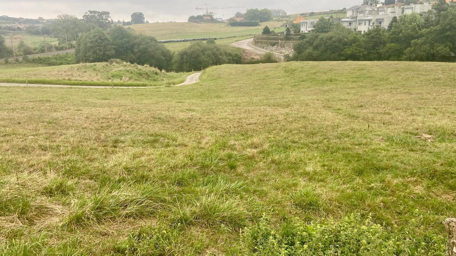 Fincas y solares-Venta-PiÃ©lagos-1833756-Foto-4