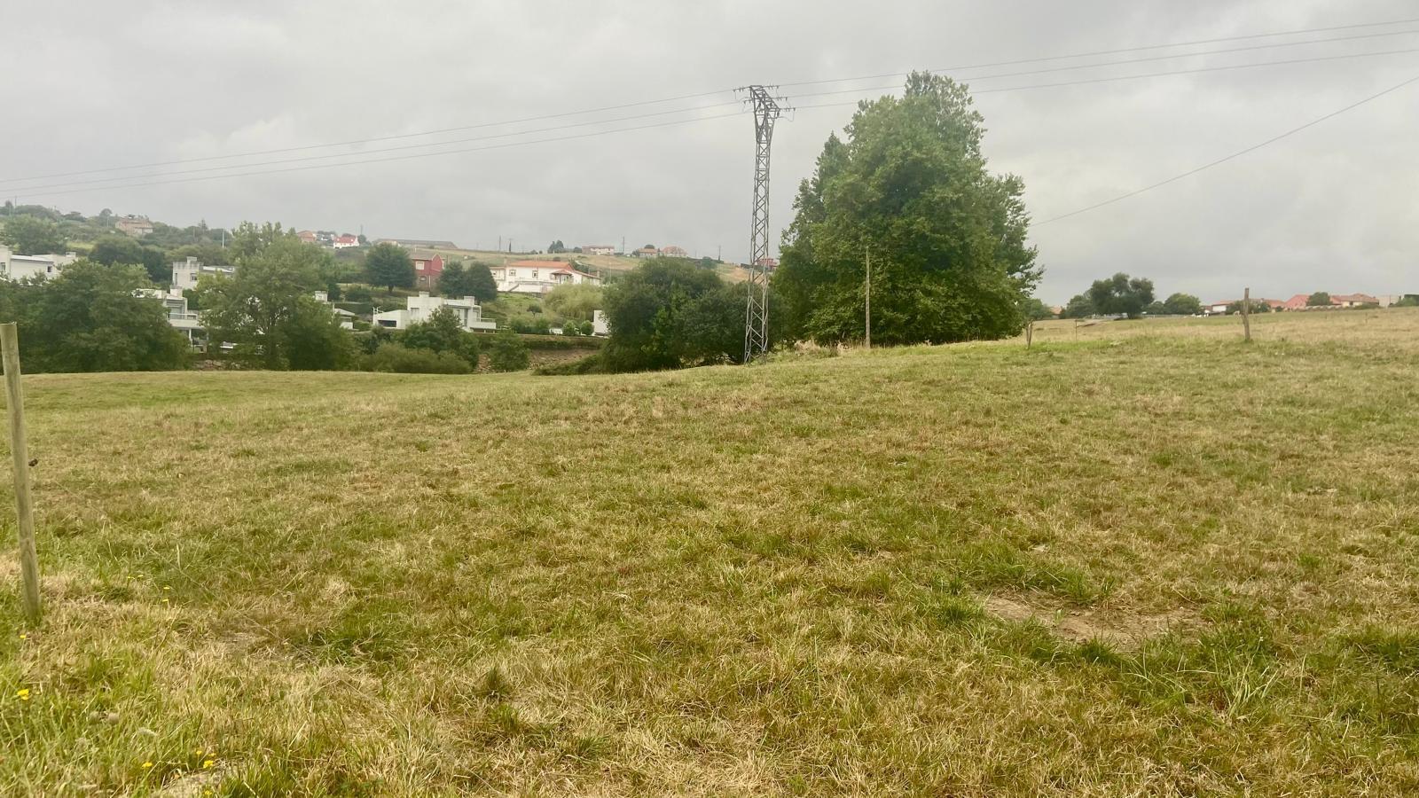 Fincas y solares-Venta-PiÃ©lagos-1833756-Foto-3
