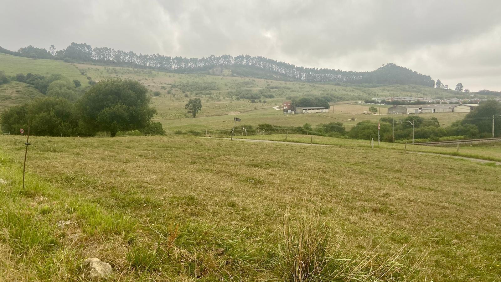 Fincas y solares-Venta-PiÃ©lagos-1833756-Foto-15