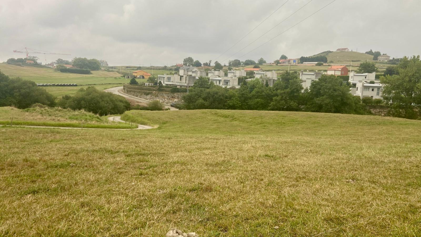 Fincas y solares-Venta-PiÃ©lagos-1833756-Foto-16