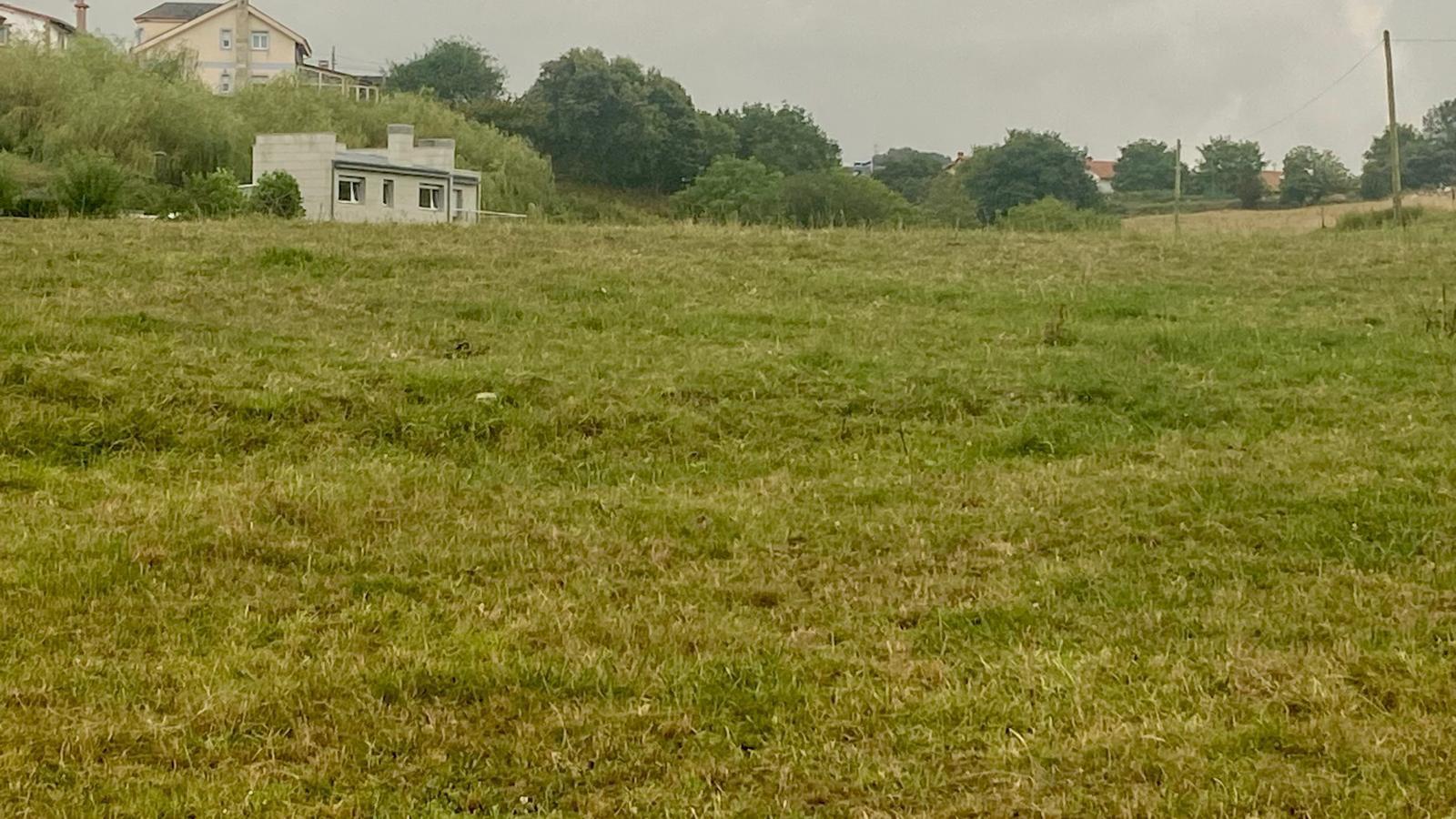 Fincas y solares-Venta-PiÃ©lagos-1833756-Foto-24
