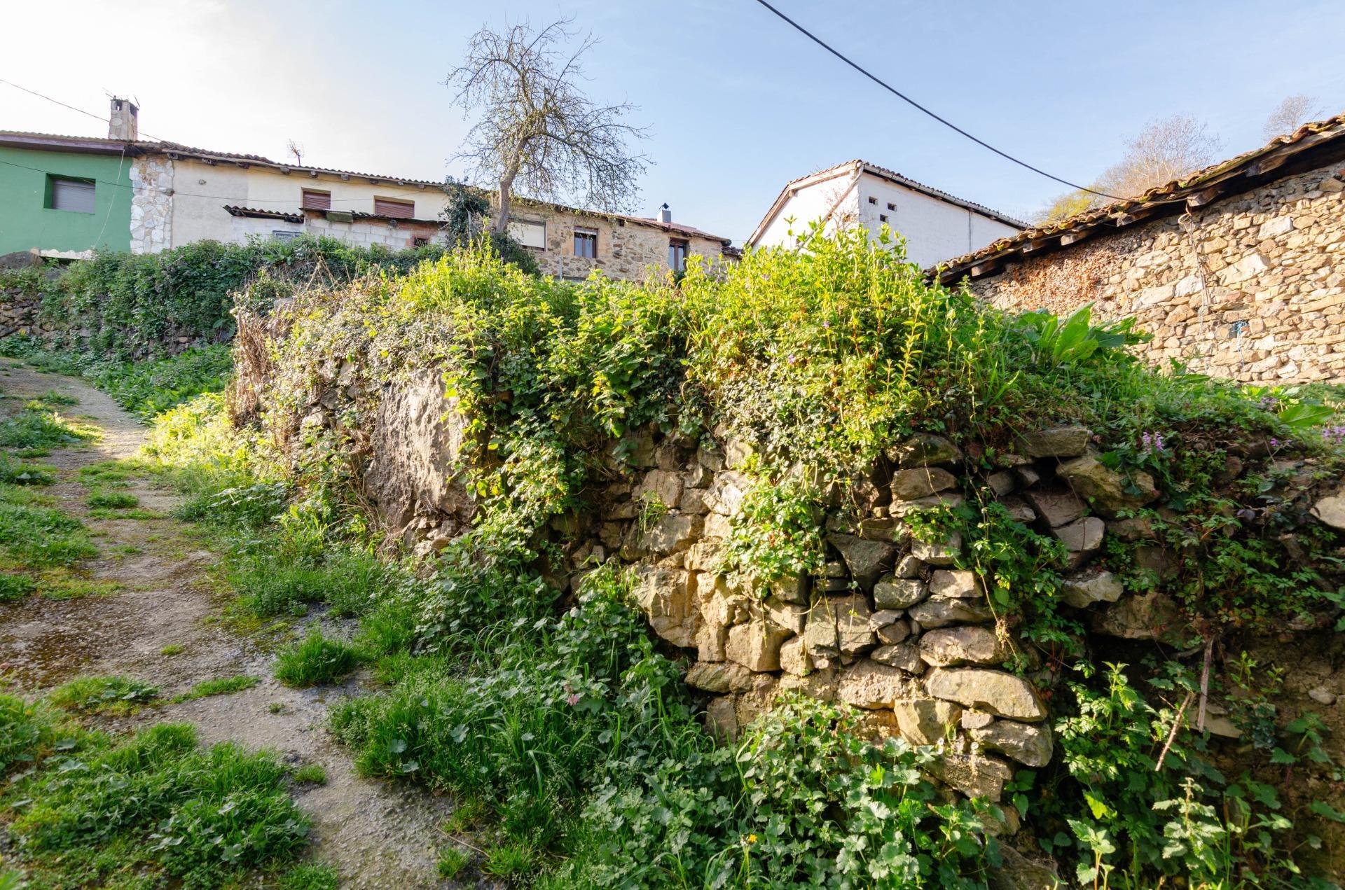 Casas o chalets-Venta-Villena-1712141-Foto-12