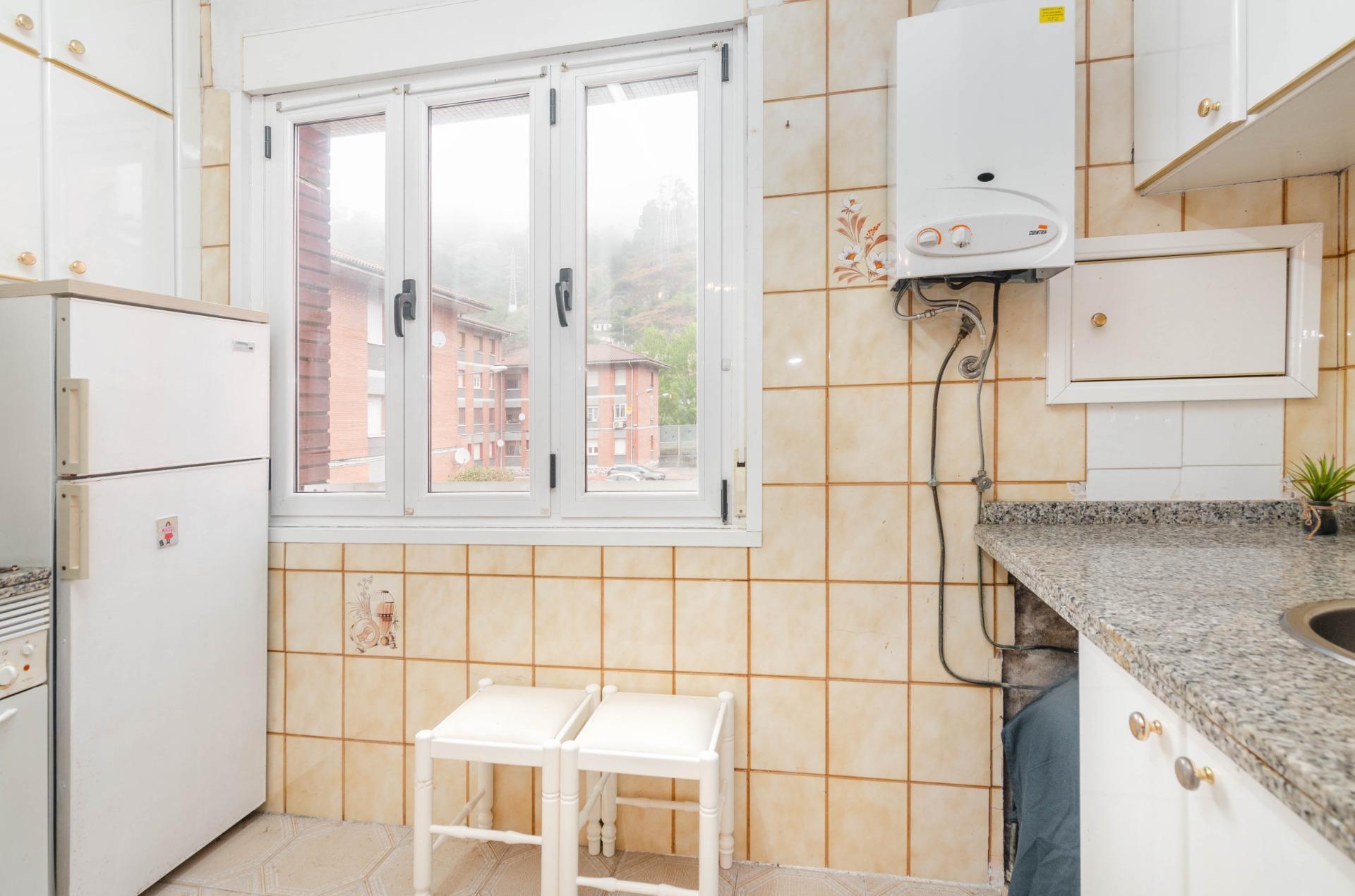 Pisos-Venta-Mieres-1833777-Foto-10
