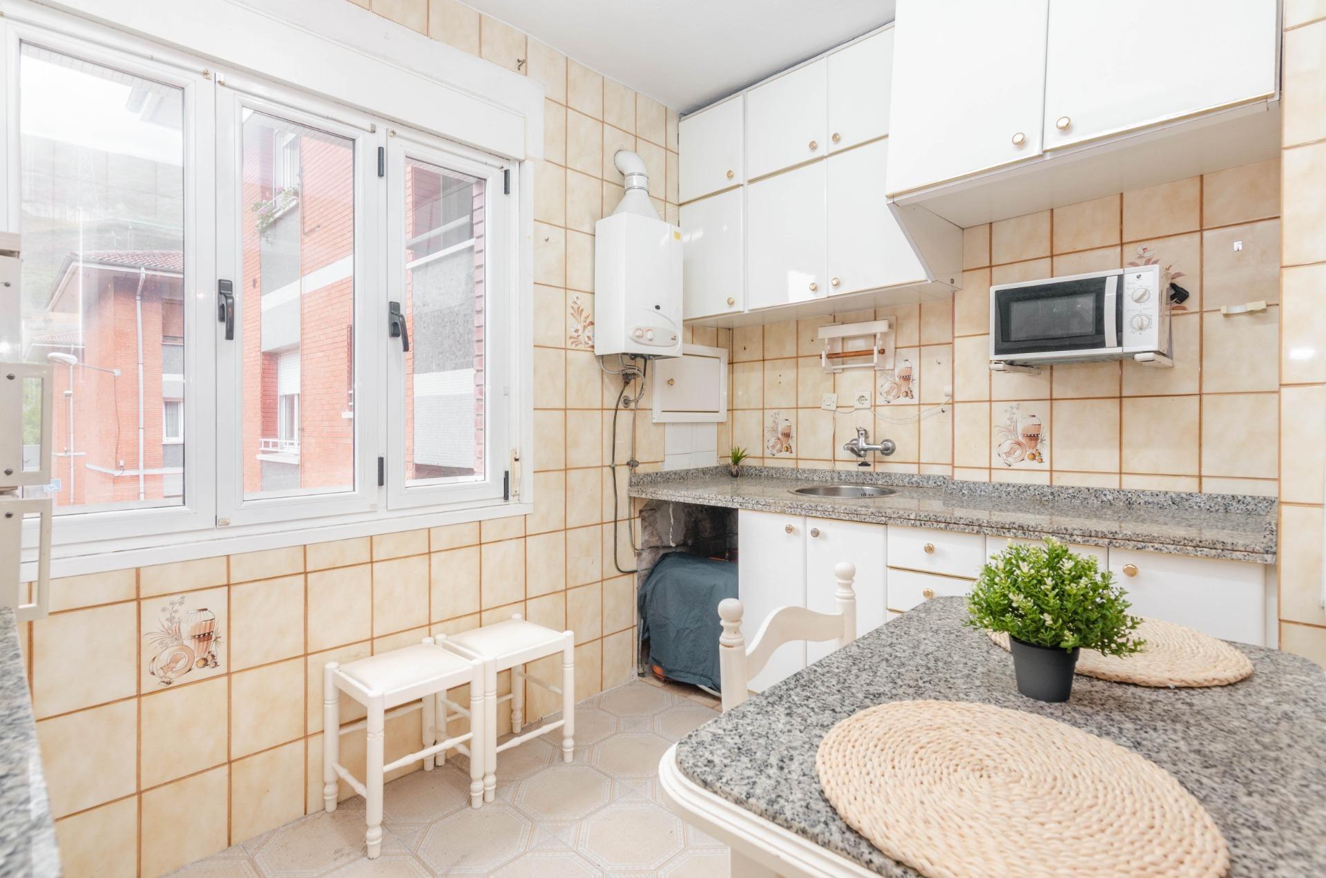 Pisos-Venta-Mieres-1833777-Foto-9