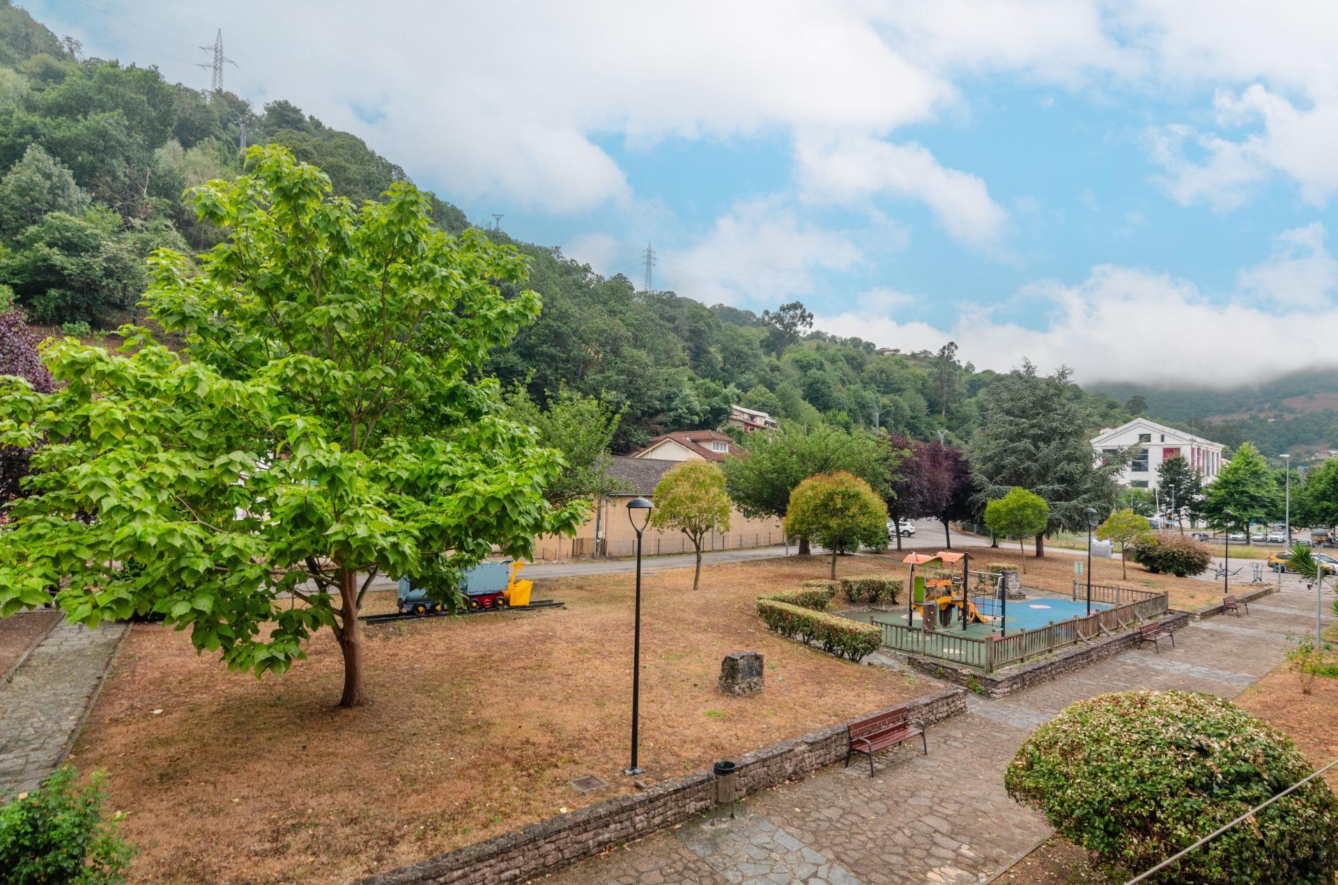 Pisos-Venta-Mieres-1833777-Foto-36