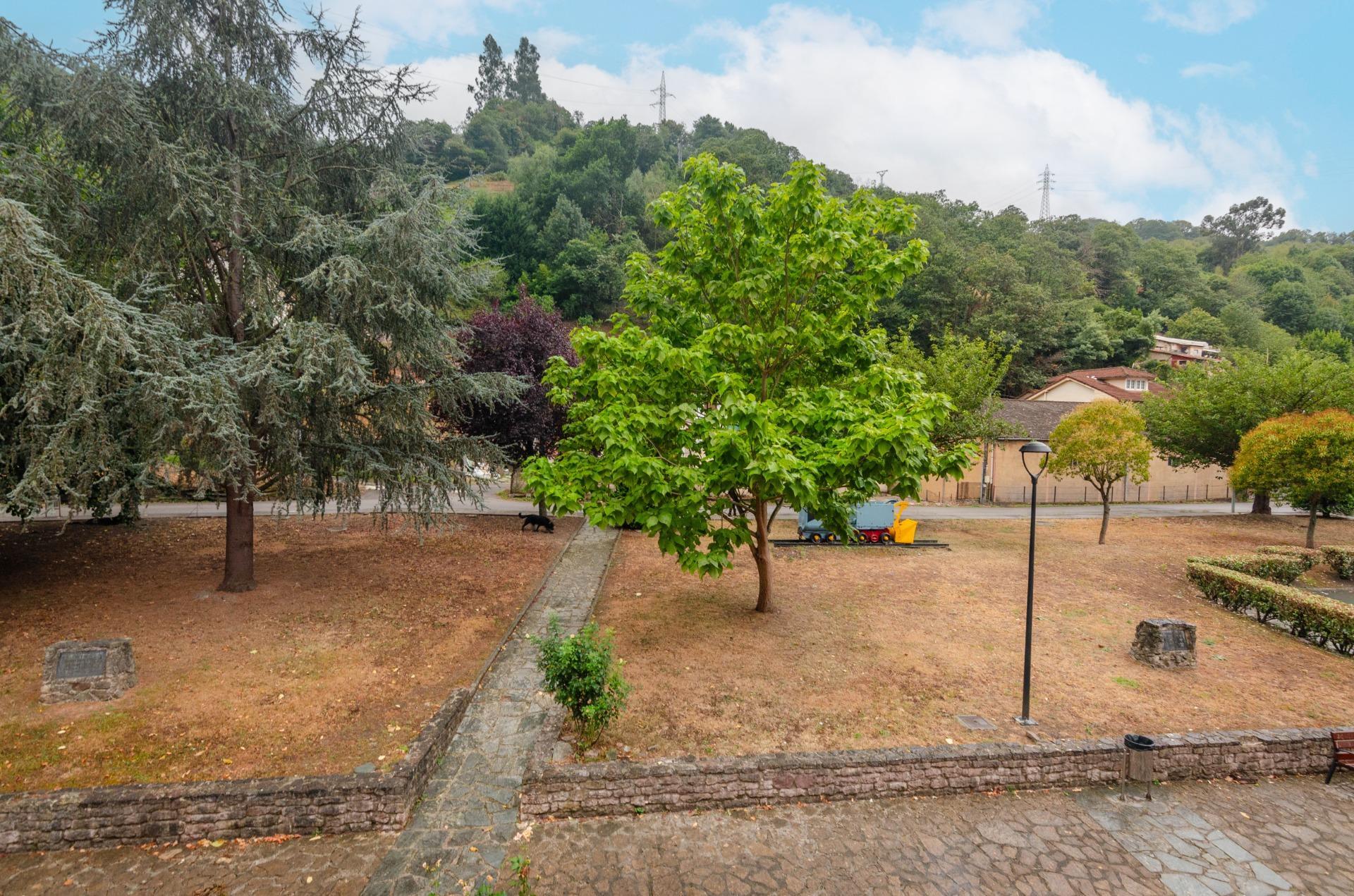 Pisos-Venta-Mieres-1833777-Foto-37