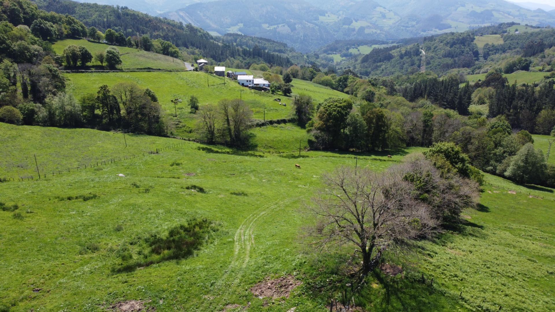 Pisos-Venta-El Boalo-1833783-Foto-6