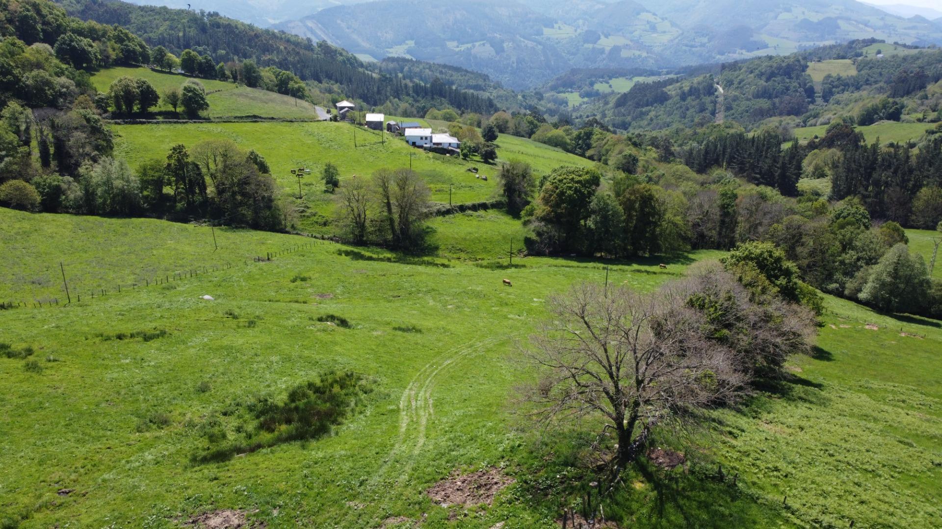 Pisos-Venta-El Boalo-1833783-Foto-8