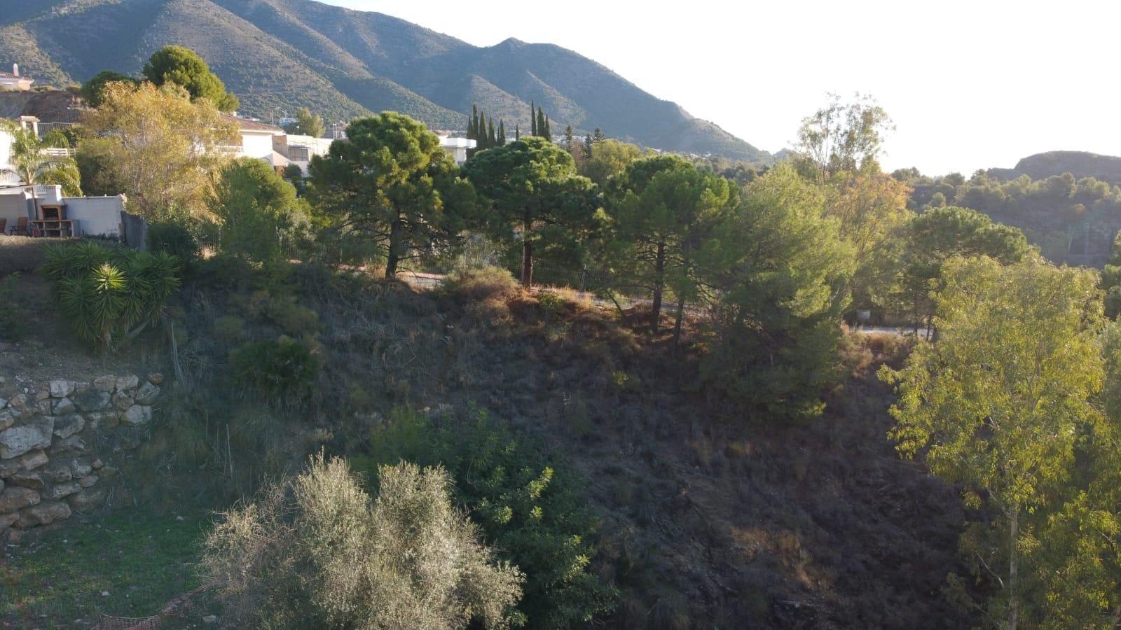 Fincas y solares-Venta-Mijas-1752273-Foto-2