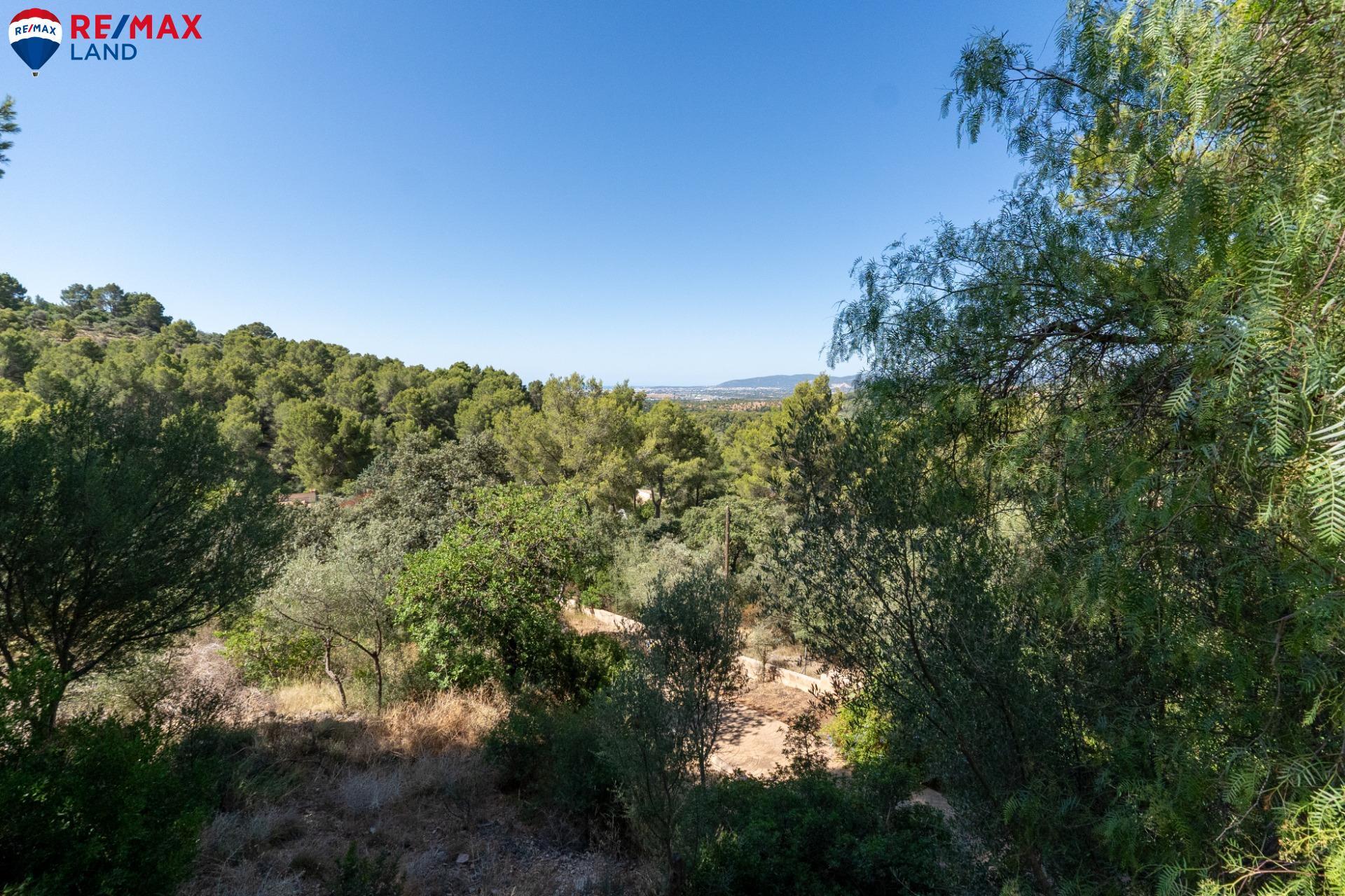 Casas o chalets-Venta-Bunyola-1767105-Foto-7