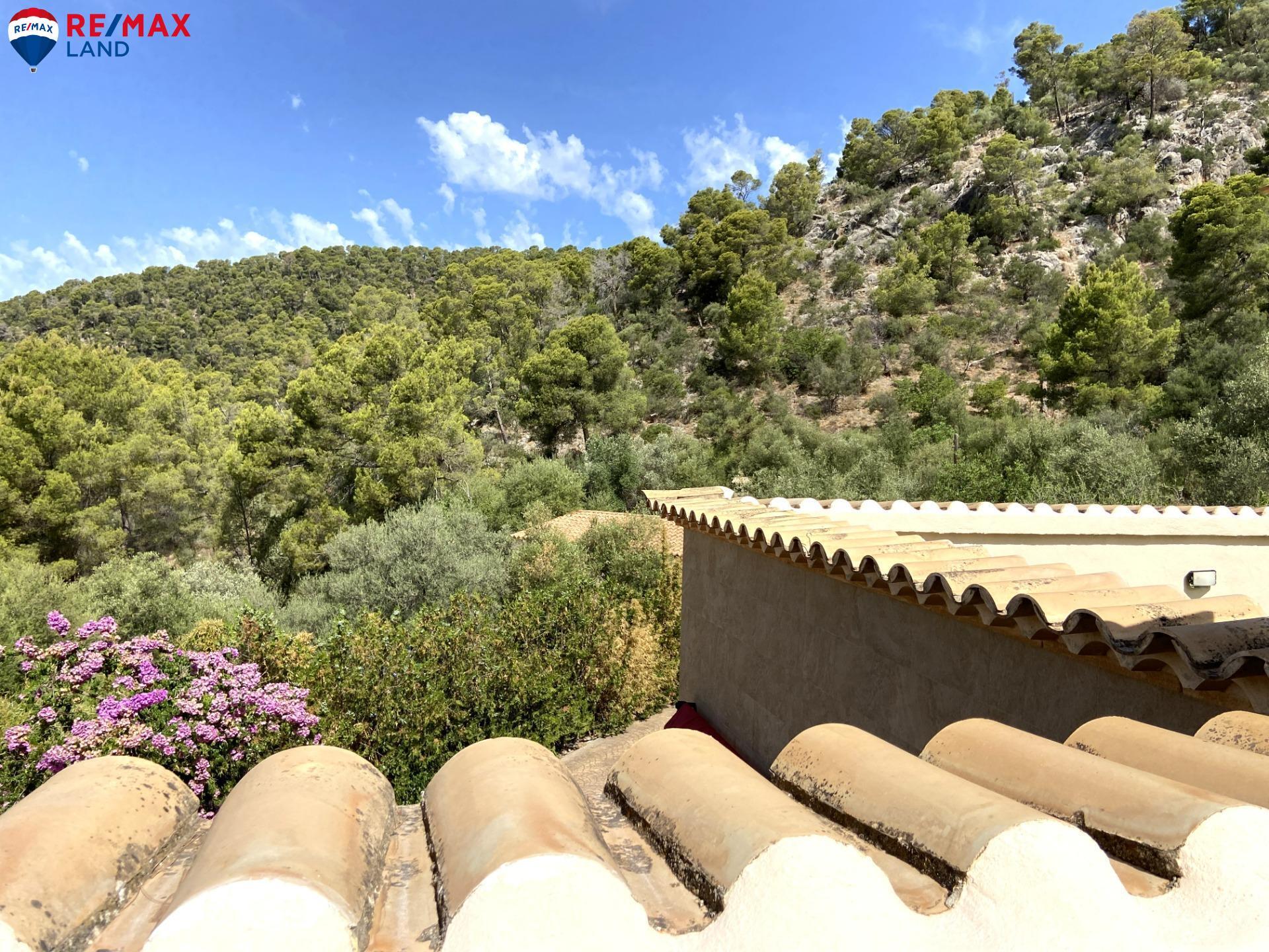 Casas o chalets-Venta-Bunyola-1767105-Foto-46