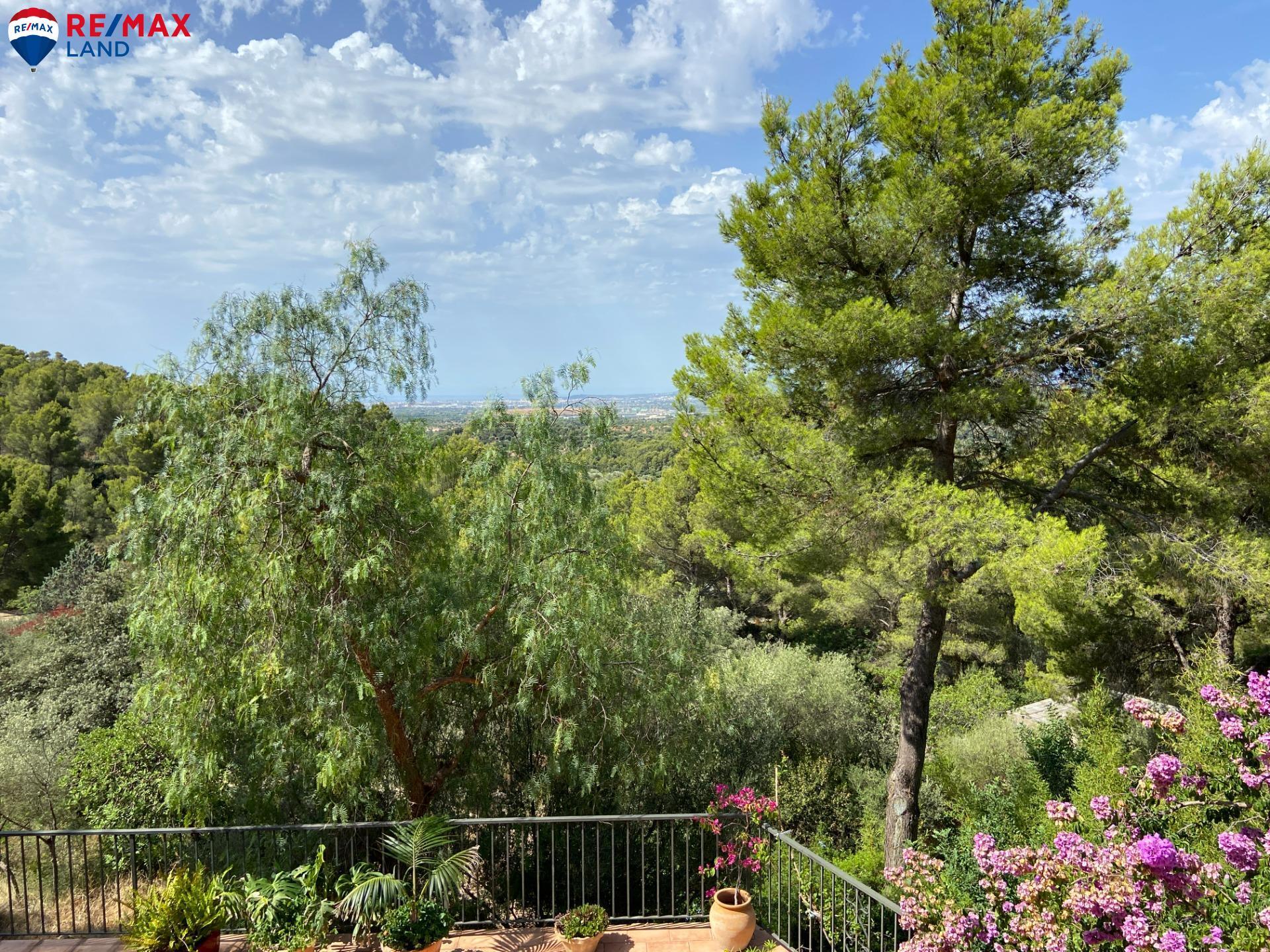 Casas o chalets-Venta-Bunyola-1767105-Foto-48
