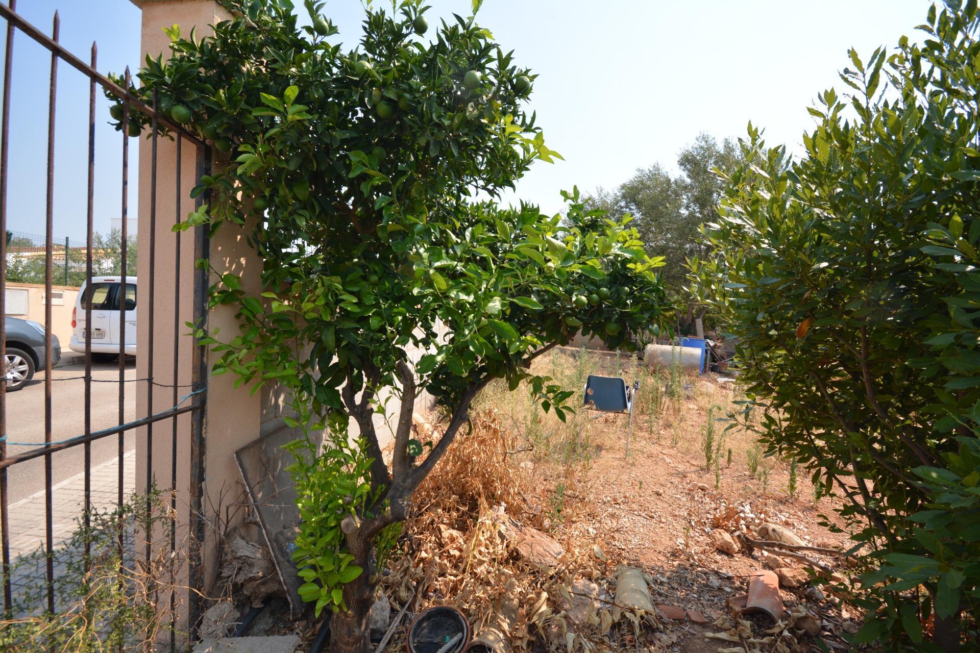 Fincas y solares-Venta-MarratxÃ­-1836479-Foto-3