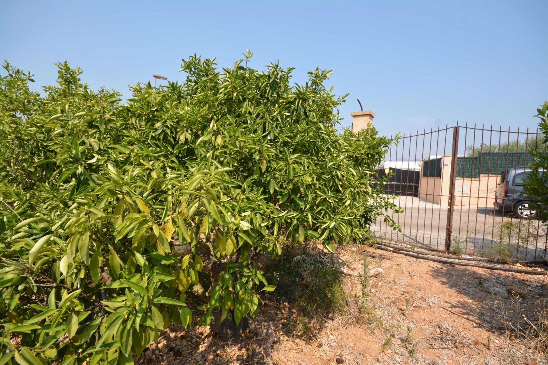 Fincas y solares-Venta-1836479