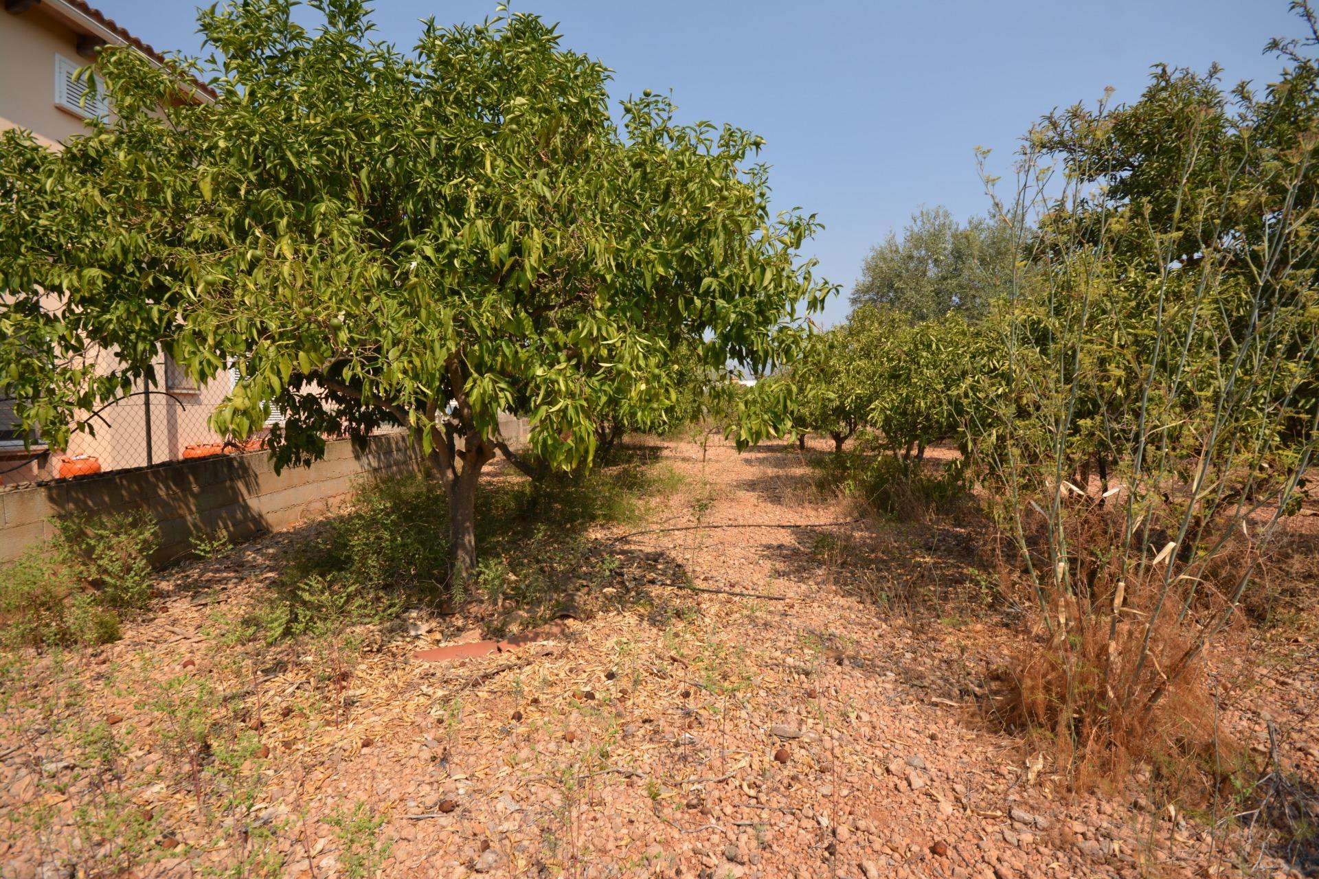 Fincas y solares-Venta-MarratxÃ­-1836479-Foto-7