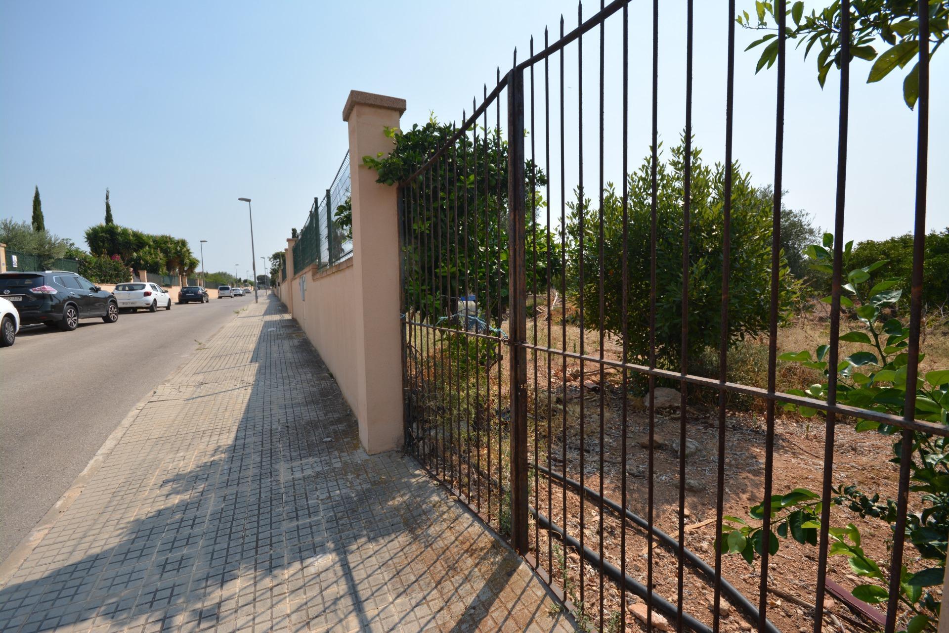 Fincas y solares-Venta-MarratxÃ­-1836479-Foto-12