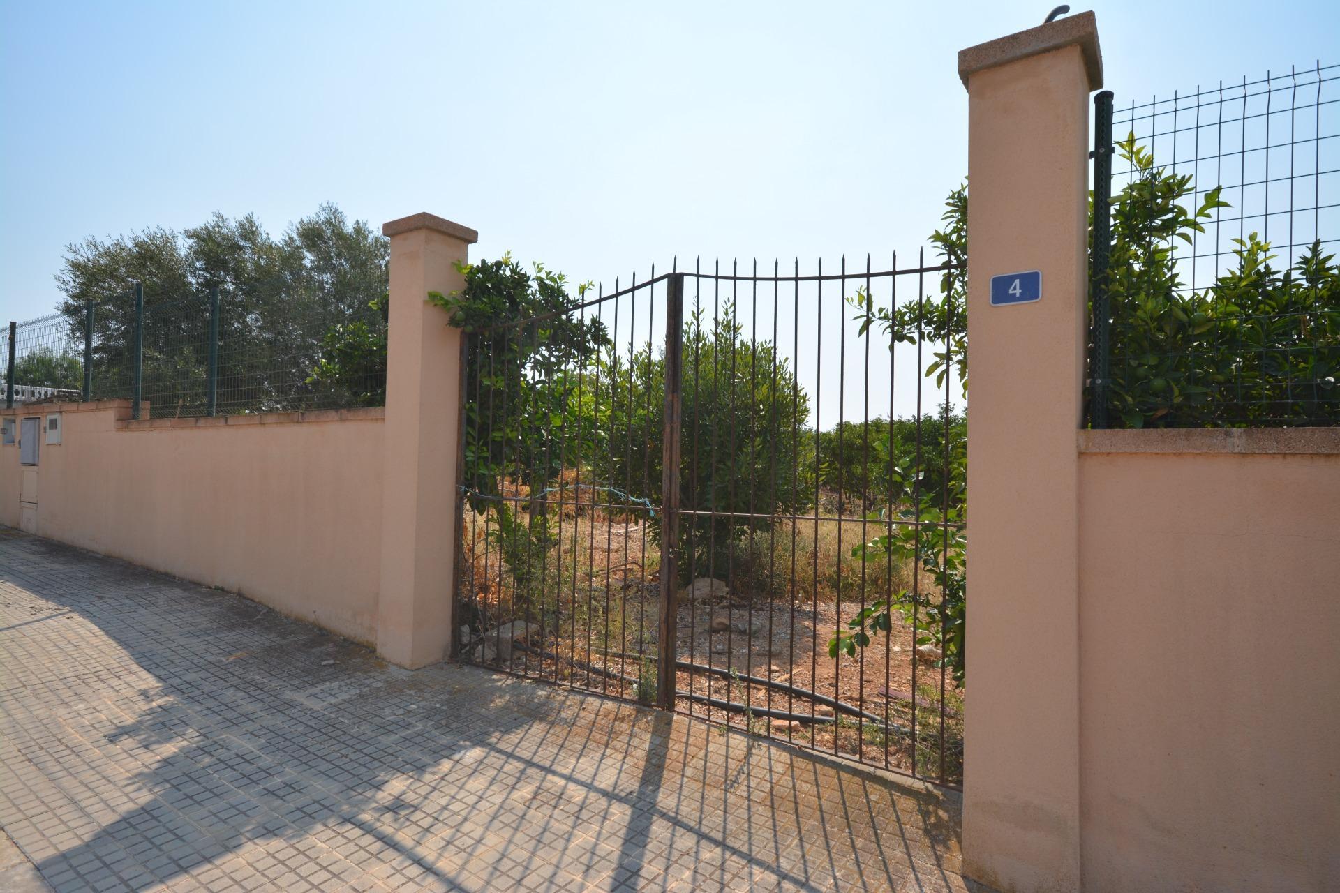 Fincas y solares-Venta-MarratxÃ­-1836479-Foto-14