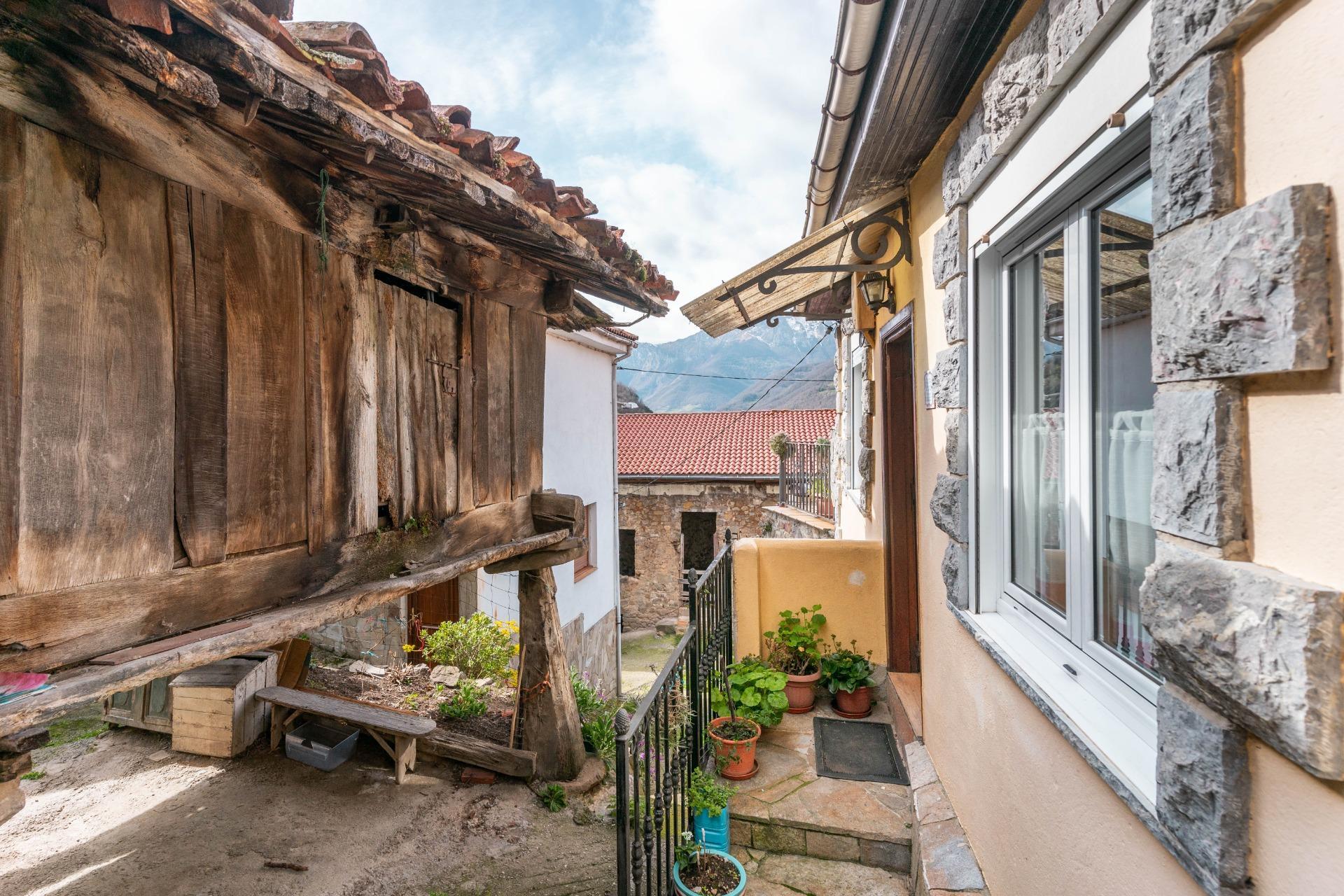Casas o chalets-Venta-Villena-1080800-Foto-30