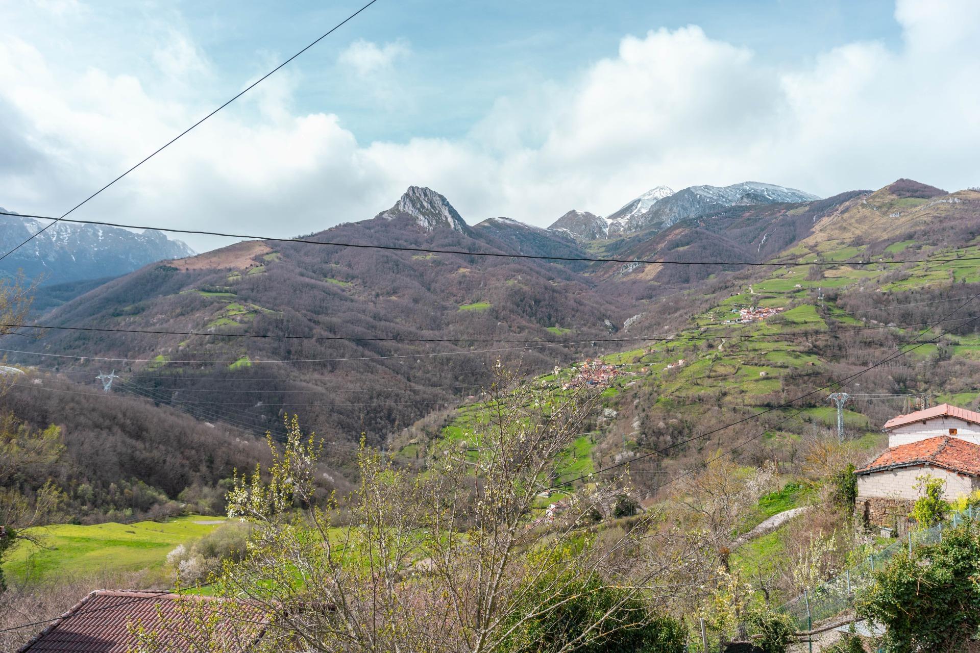 Casas o chalets-Venta-Villena-1080800-Foto-39