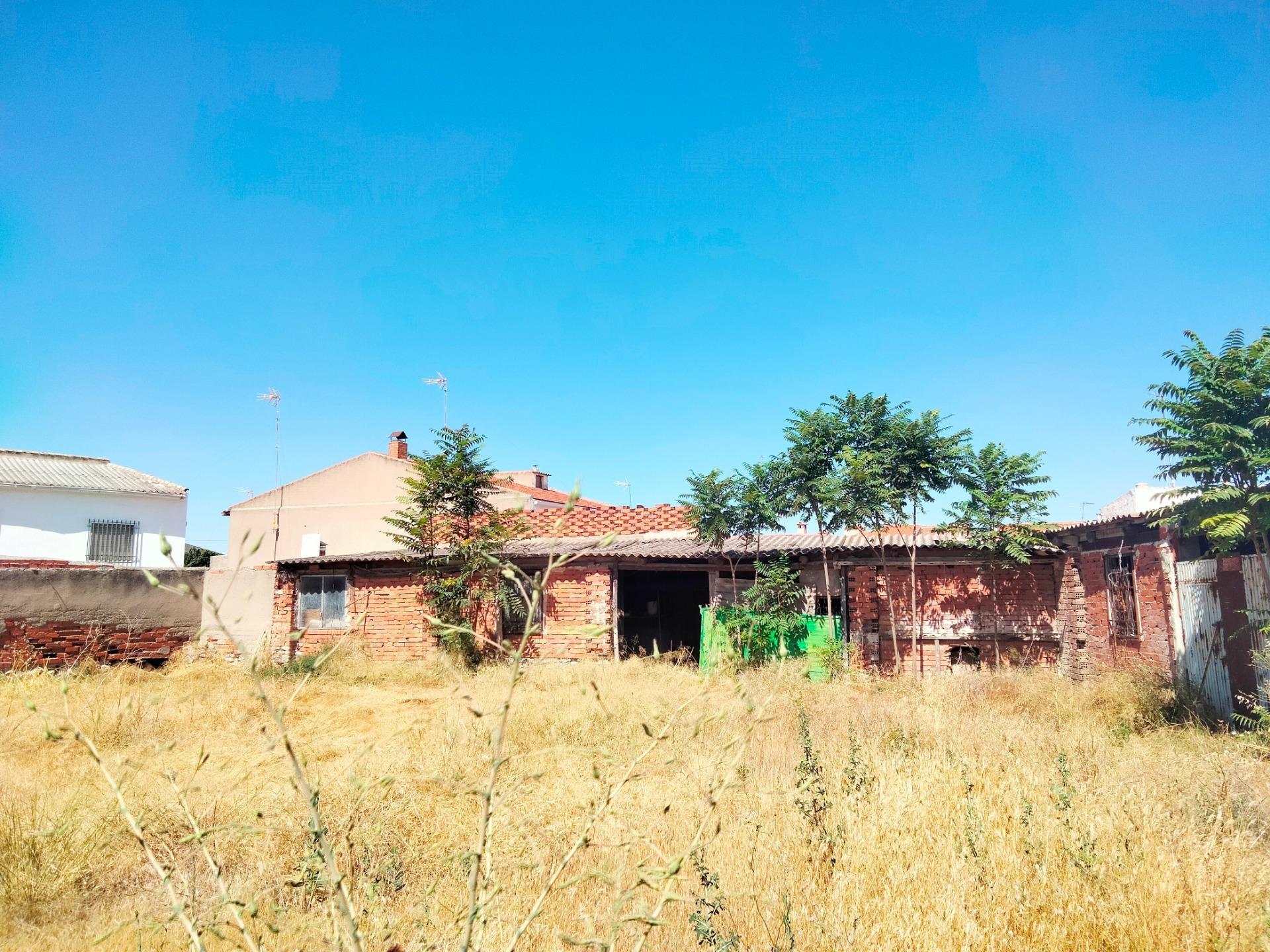 Casas o chalets-Venta-Lillo-1827905-Foto-2