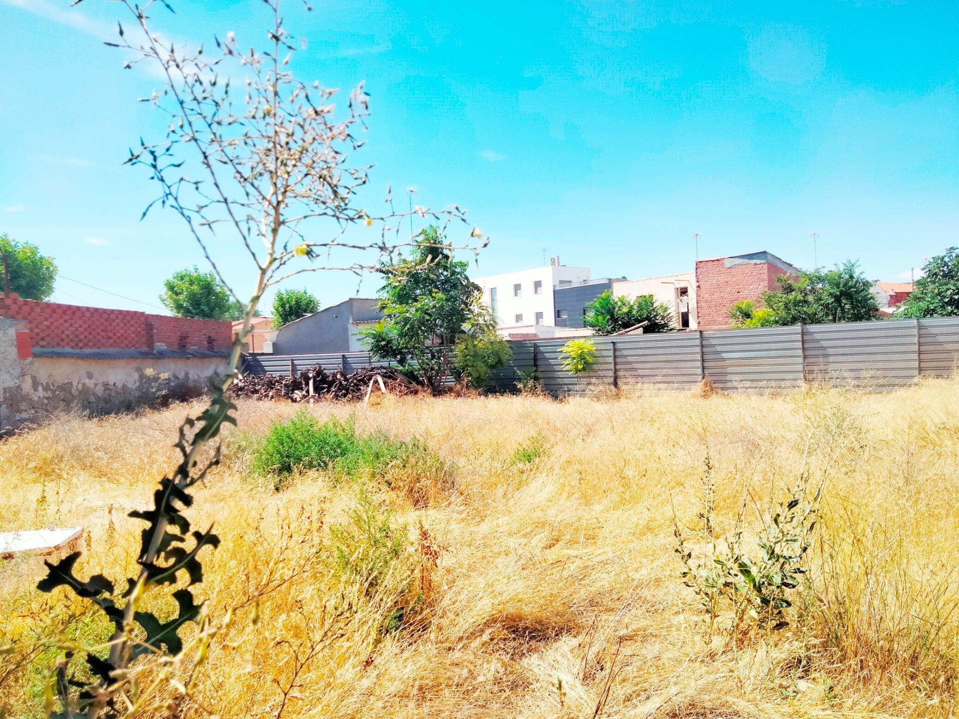 Casas o chalets-Venta-Lillo-1827905-Foto-35