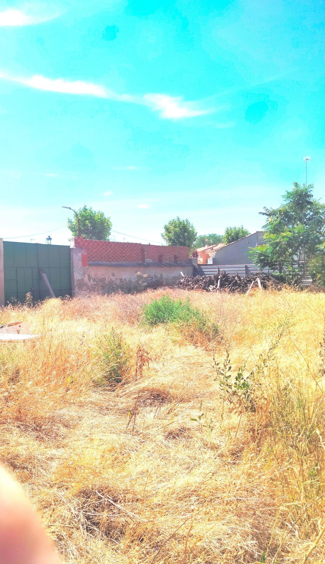 Casas o chalets-Venta-Lillo-1827905-Foto-38