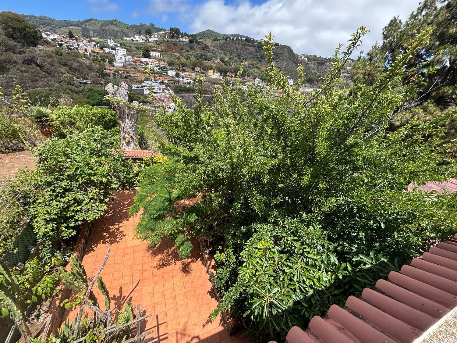 Pisos-Venta-Teror-1834350-Foto-17