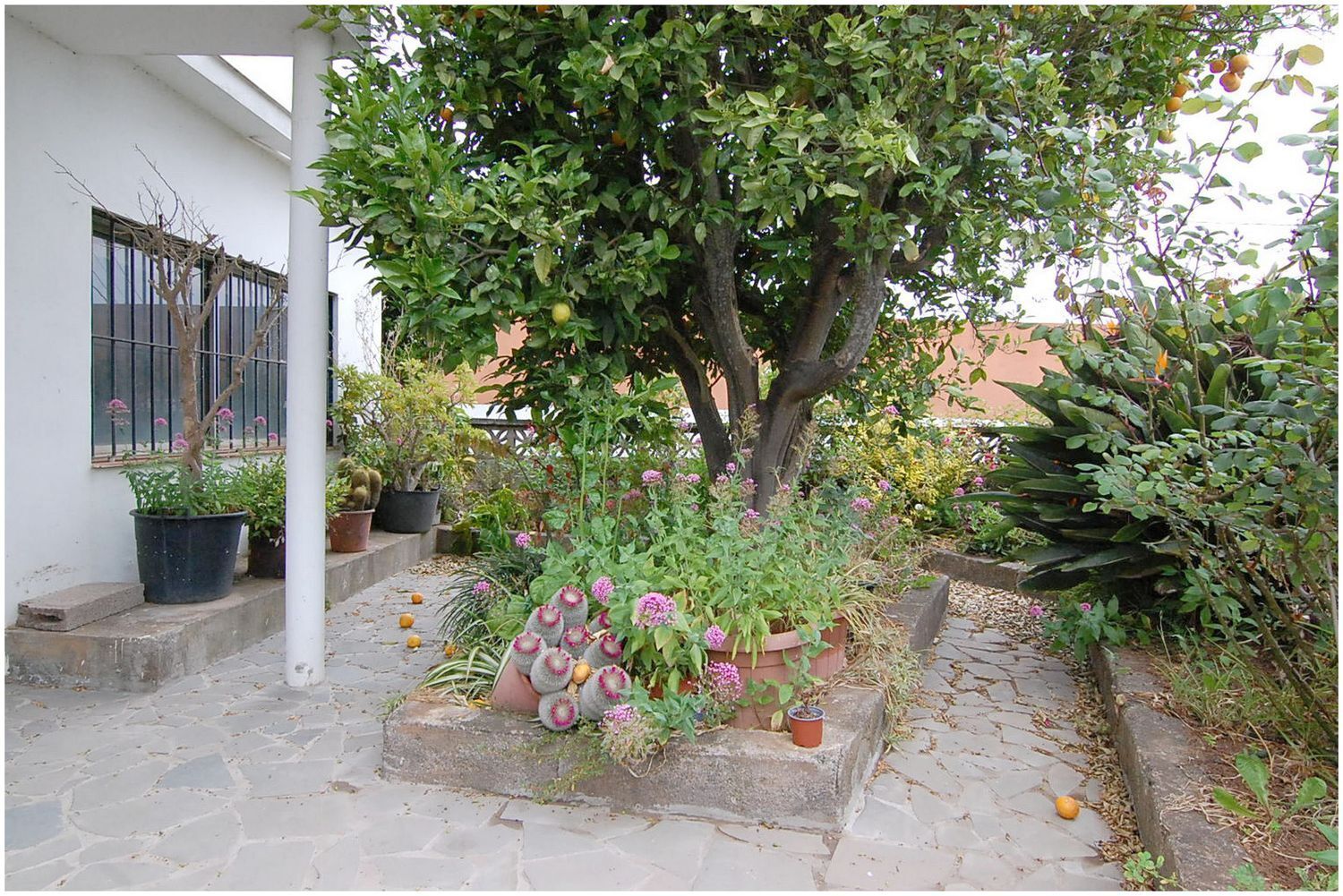 Casas o chalets-Venta-El Rosario-1834428-Foto-3
