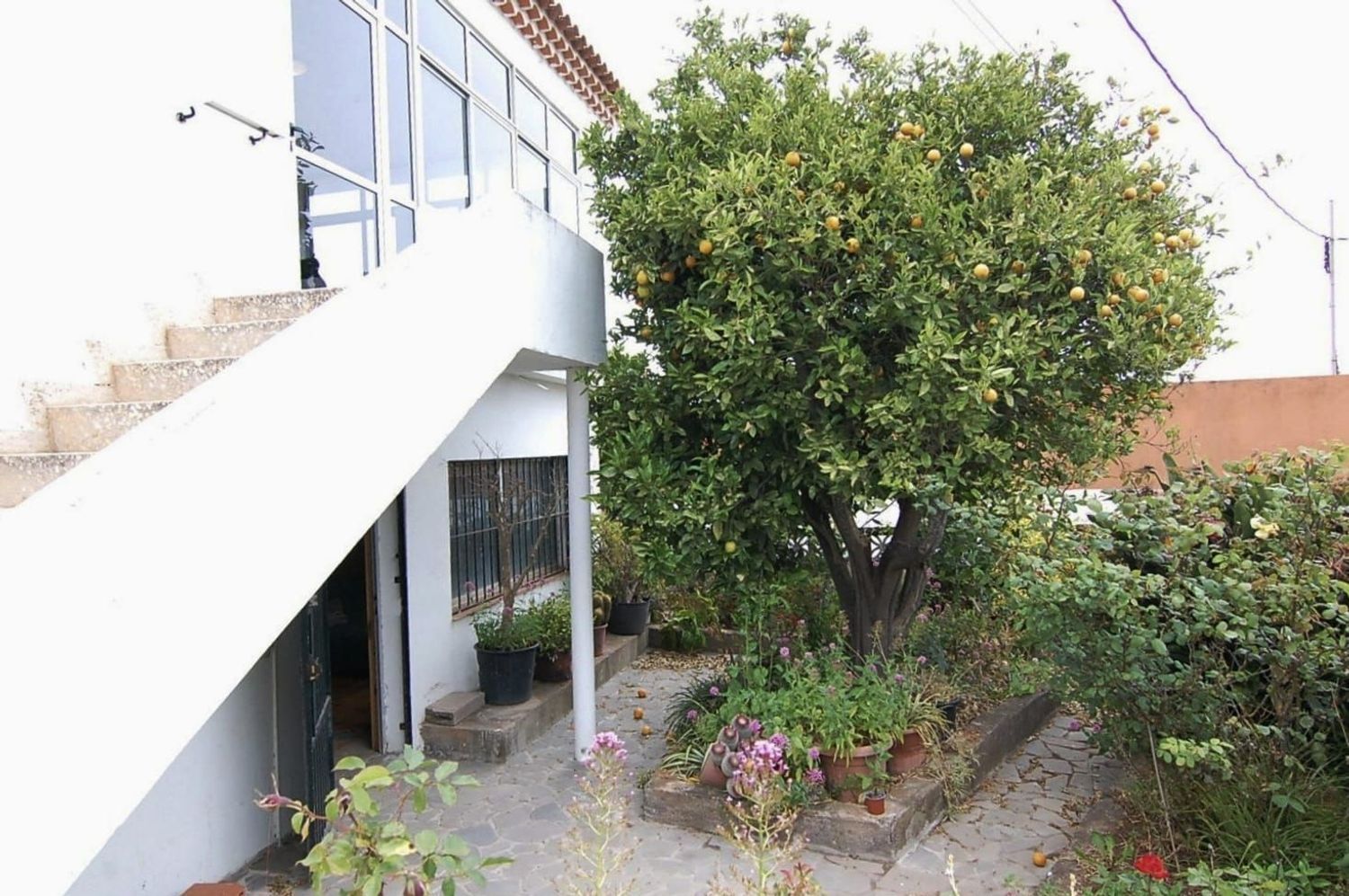Casas o chalets-Venta-El Rosario-1834428-Foto-2