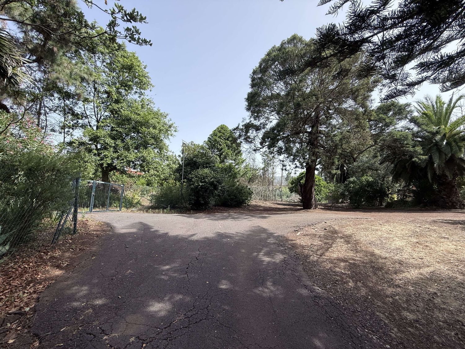 Pisos-Venta-El Sauzal-1834440-Foto-2