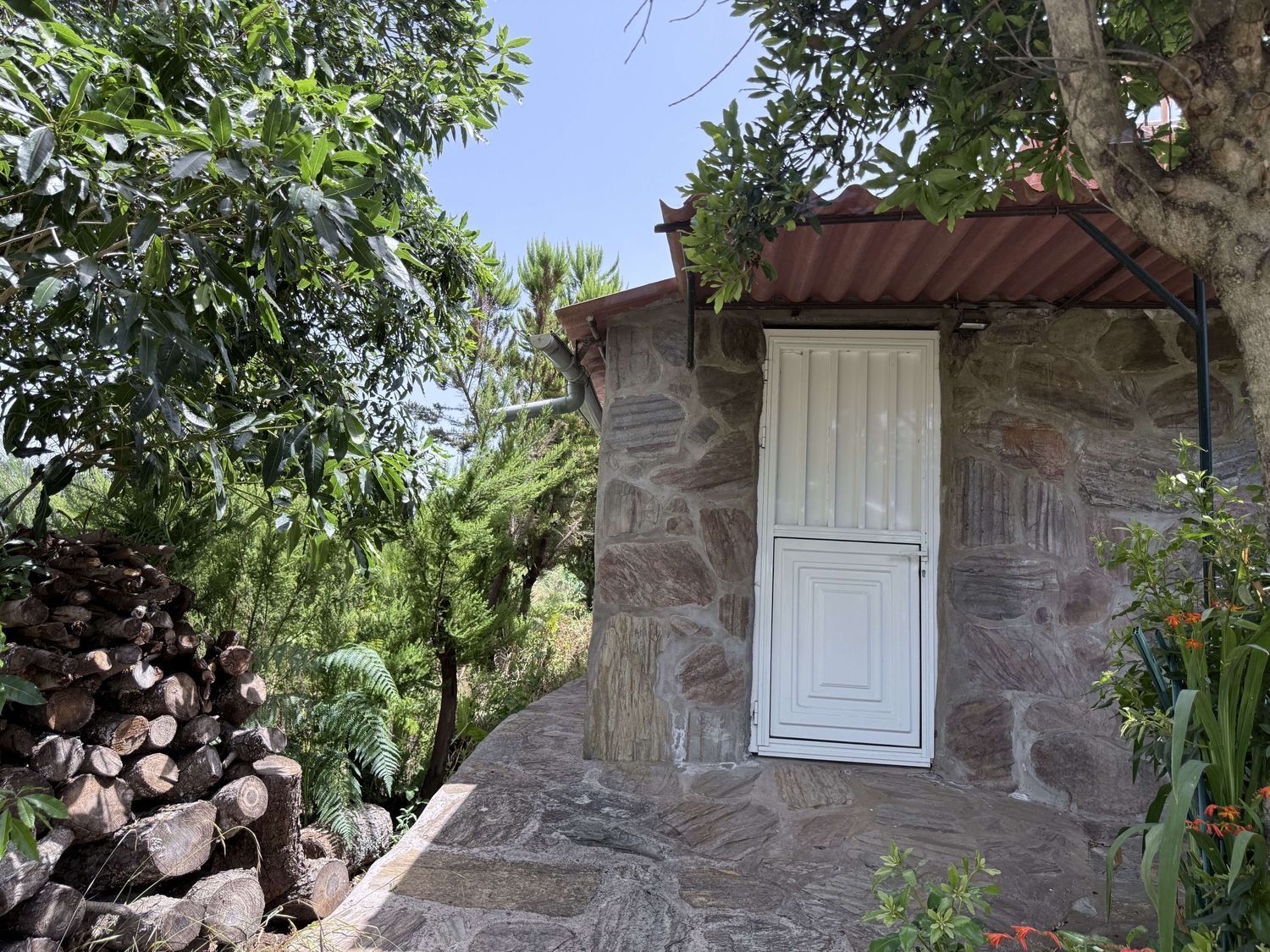 Pisos-Venta-El Sauzal-1834440-Foto-18