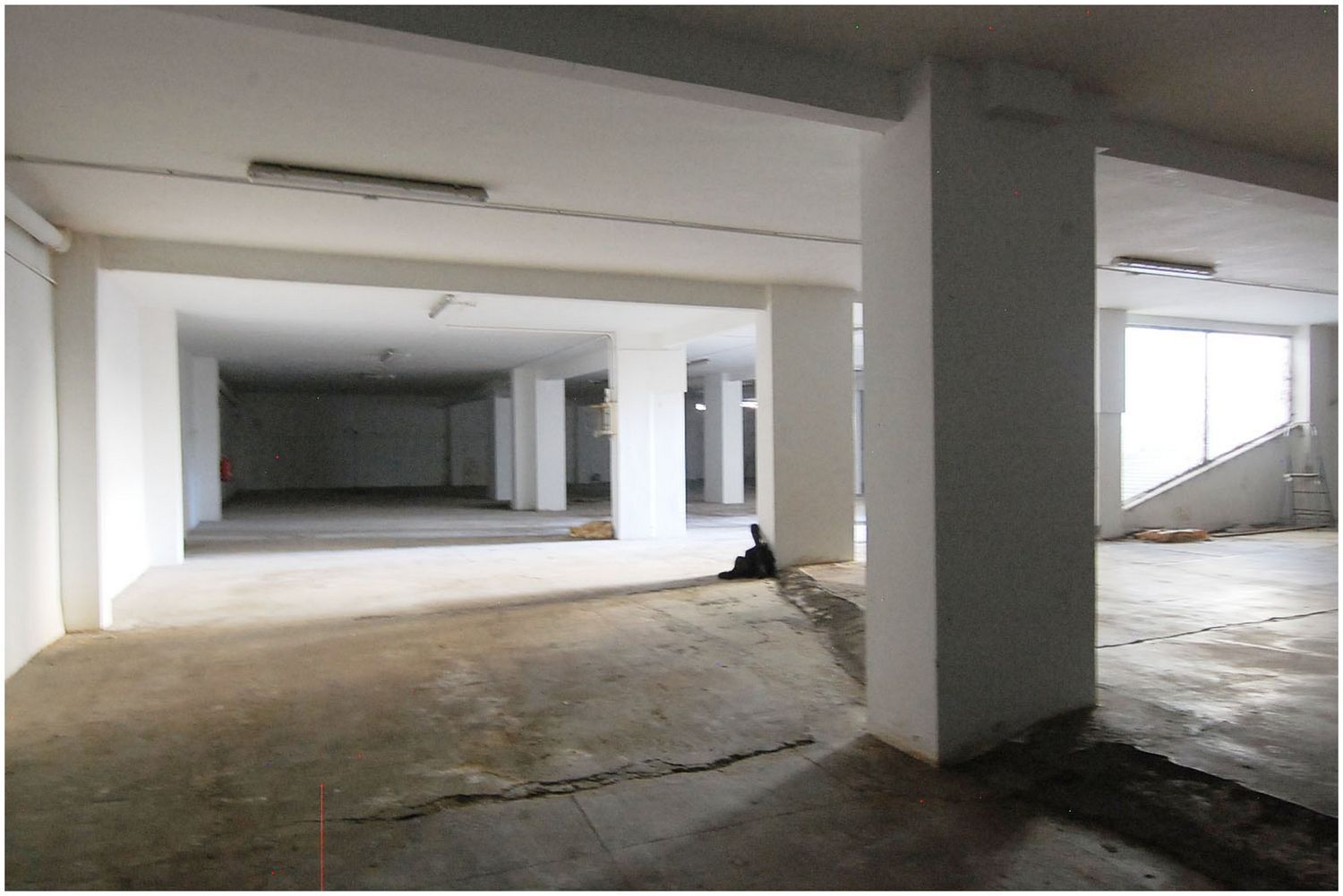 Locales-Venta-Santa Cruz de Tenerife-1834443-Foto-10