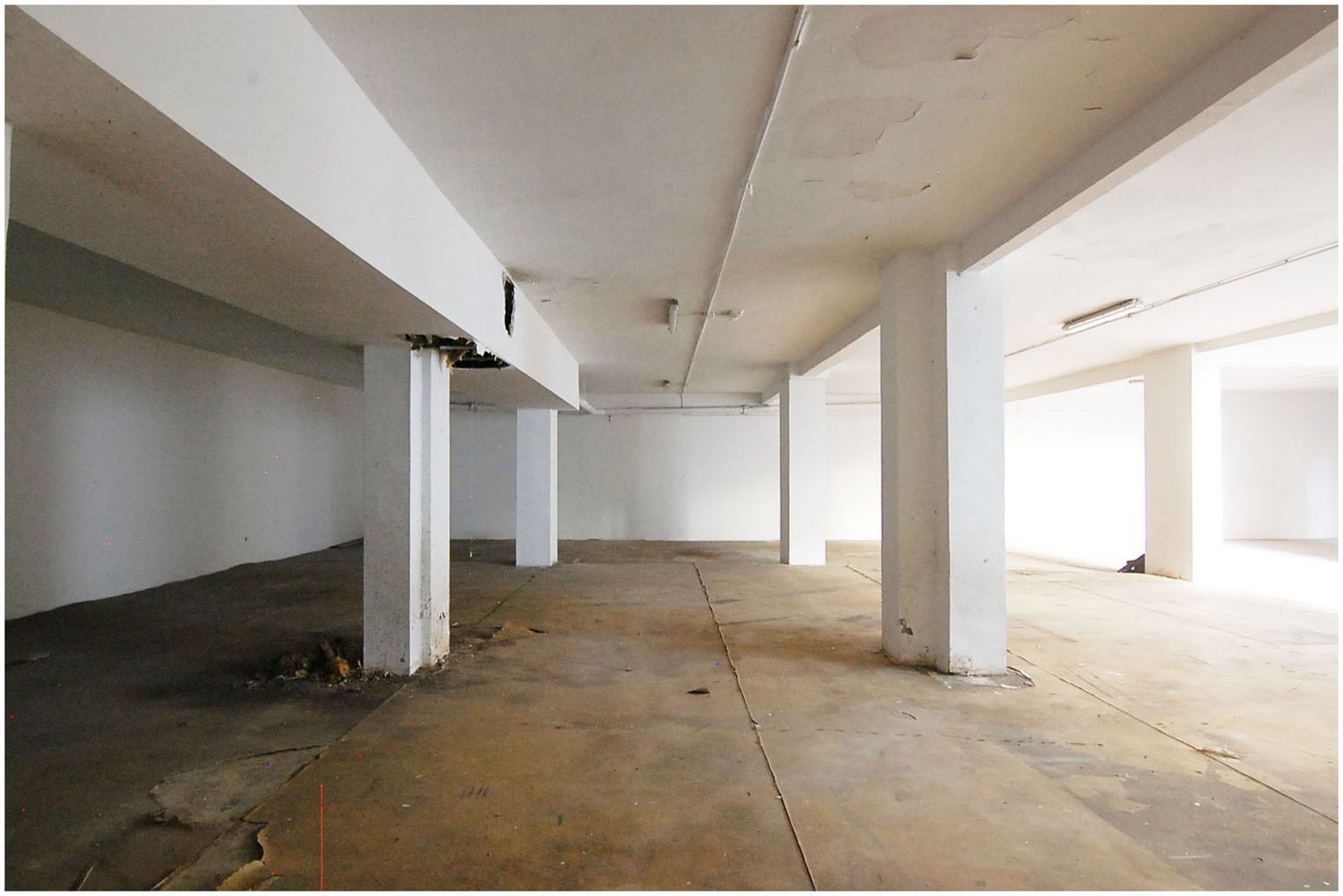 Locales-Venta-Santa Cruz de Tenerife-1834443-Foto-6